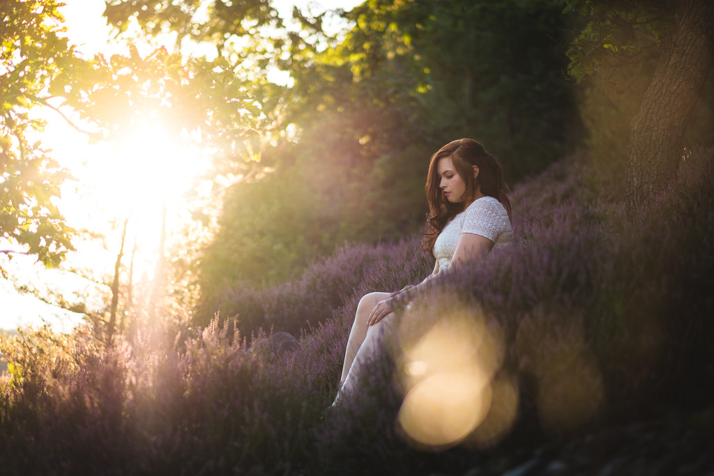 Fujifilm XF 56mm F1.2 R sample photo. Zu photography