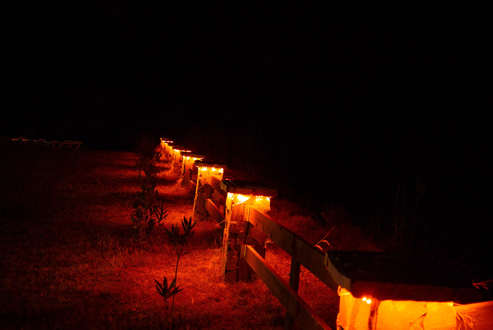 Nikon 1 V1 sample photo. Fences at night photography