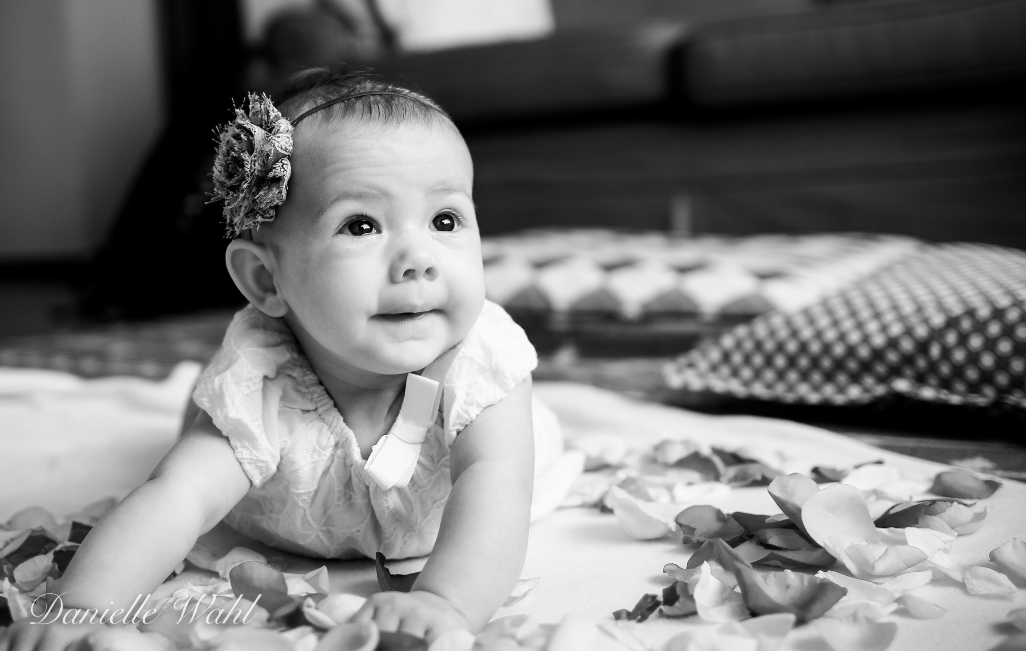 Canon EOS 60D + Canon EF 24mm F1.4L II USM sample photo. Img photography