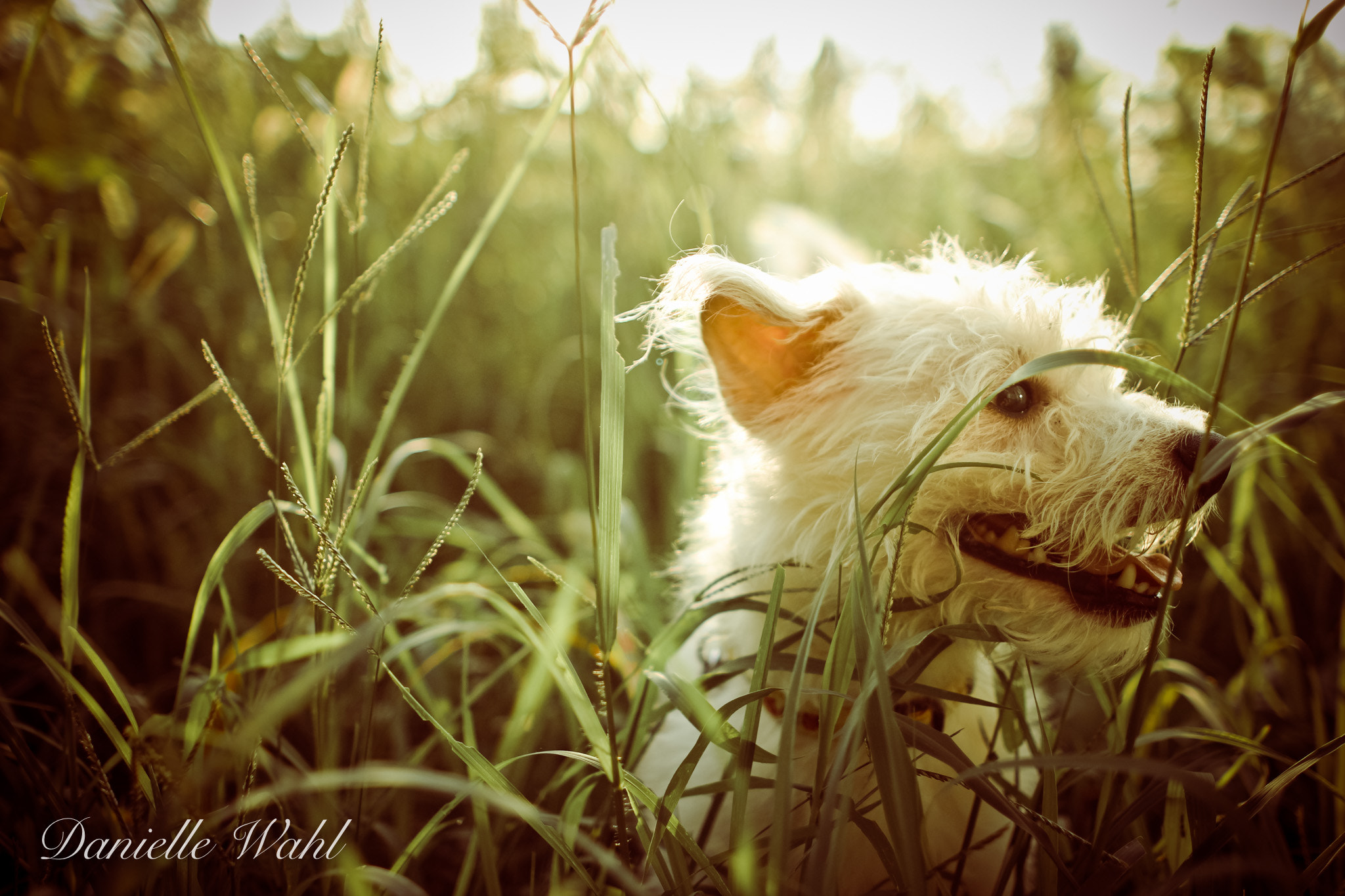 Canon EOS 60D + Canon EF 24mm F1.4L II USM sample photo. Img photography