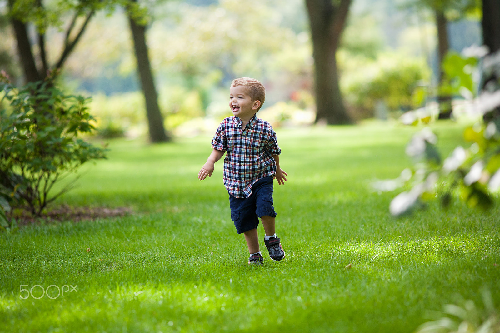 Canon EOS 5D + Canon EF 200mm F2.8L II USM sample photo. Backyard play photography