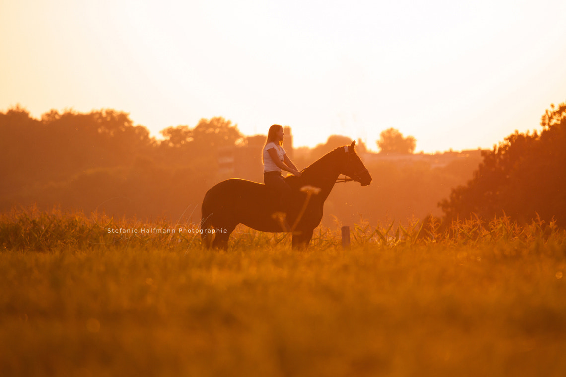 Canon EOS 50D + Canon EF 70-200mm F4L IS USM sample photo. Calm photography