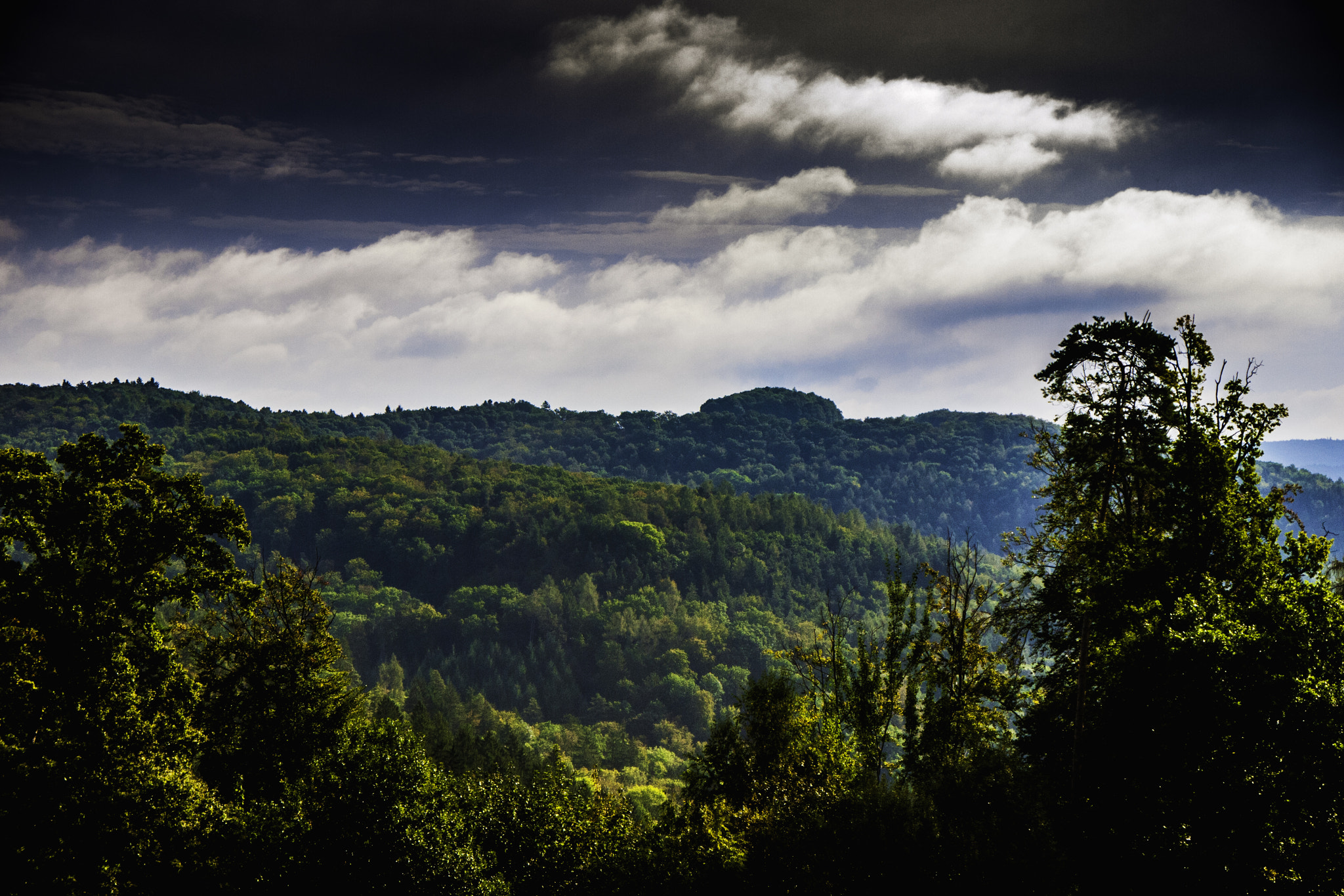 Panasonic Lumix DMC-G1 sample photo. Wald photography