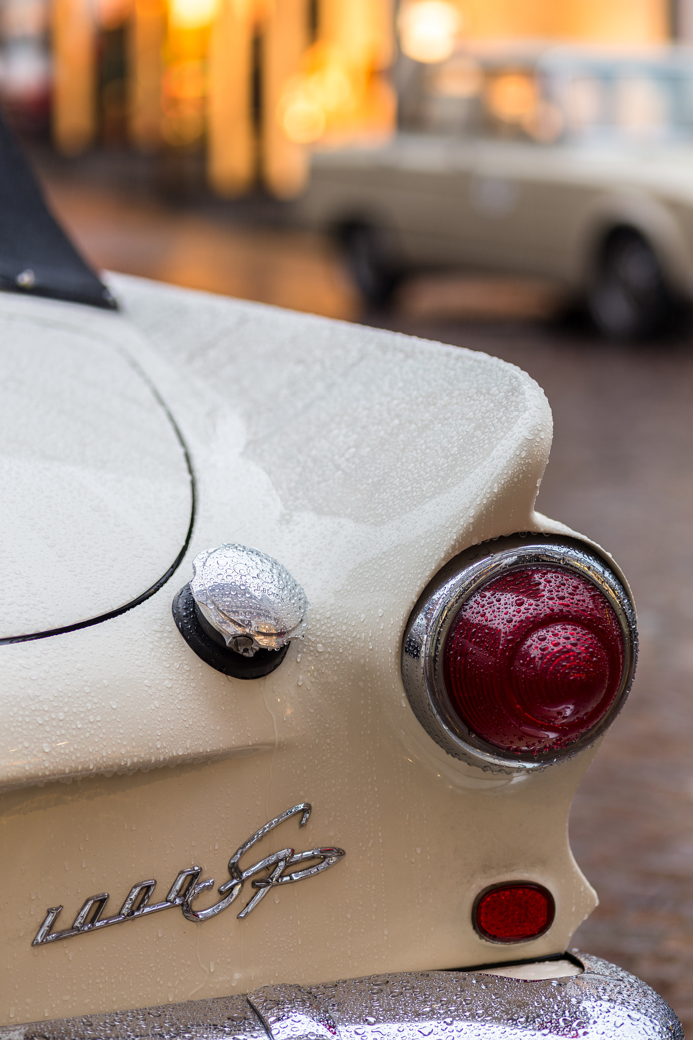 ZEISS Makro-Planar T* 100mm F2 sample photo. Oldtimer photography