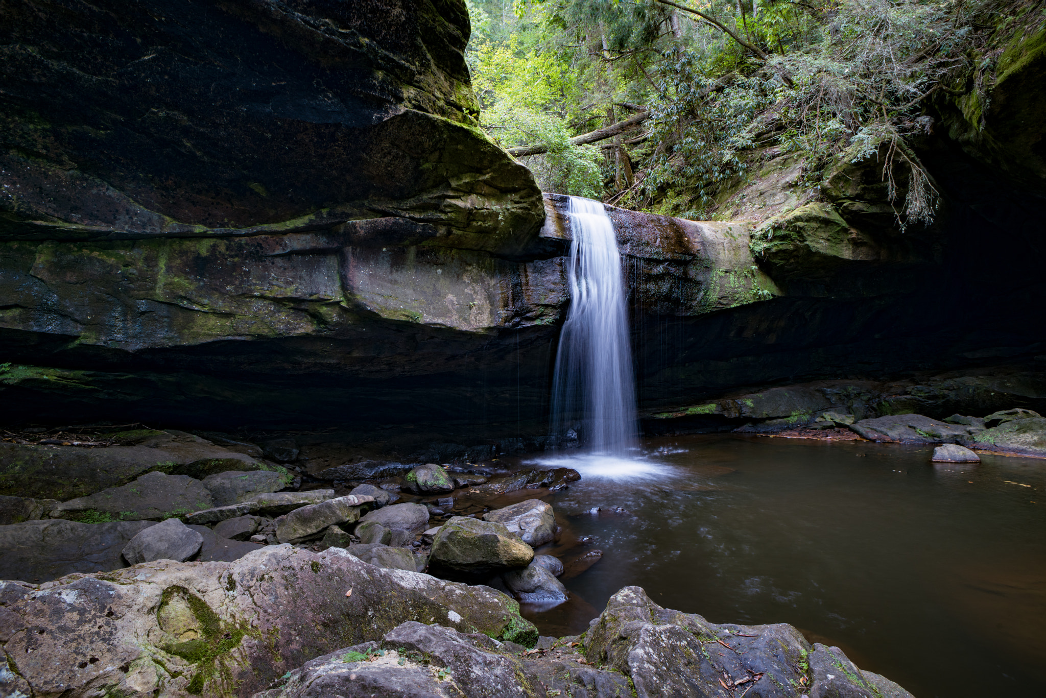 Nikon AF Nikkor 20mm F2.8D sample photo. Dog slaughter falls 1 photography