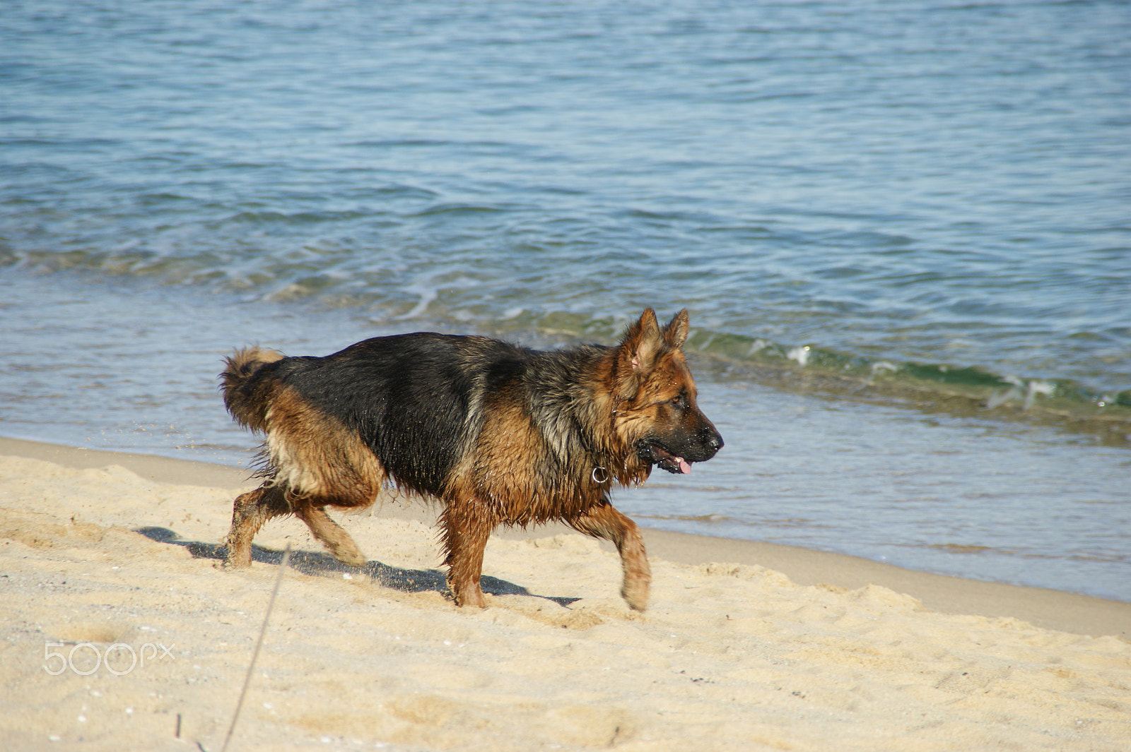 Sony DT 18-200mm F3.5-6.3 sample photo. After a bath photography