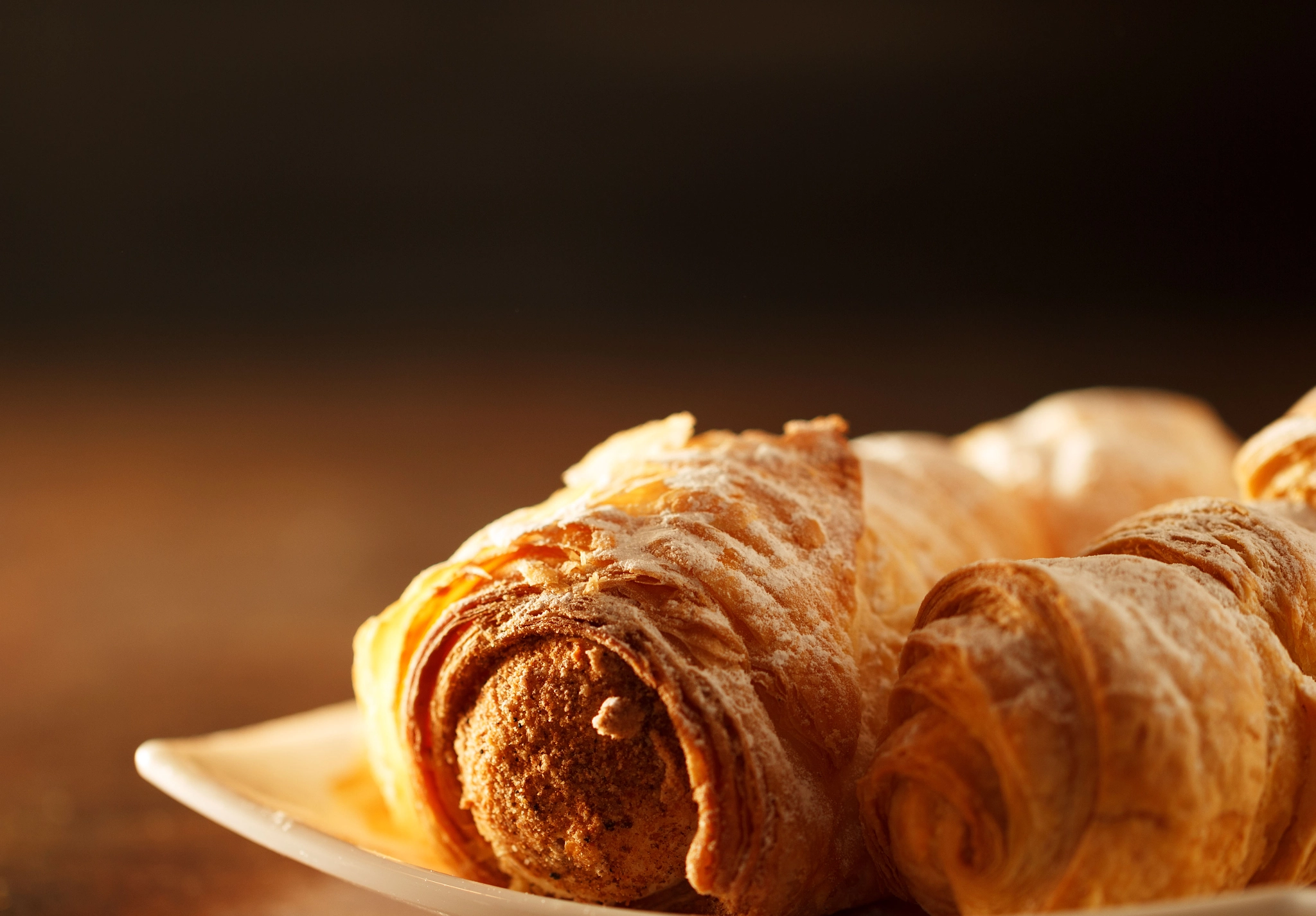 Canon EOS 60D + Canon EF 100mm F2.8L Macro IS USM sample photo