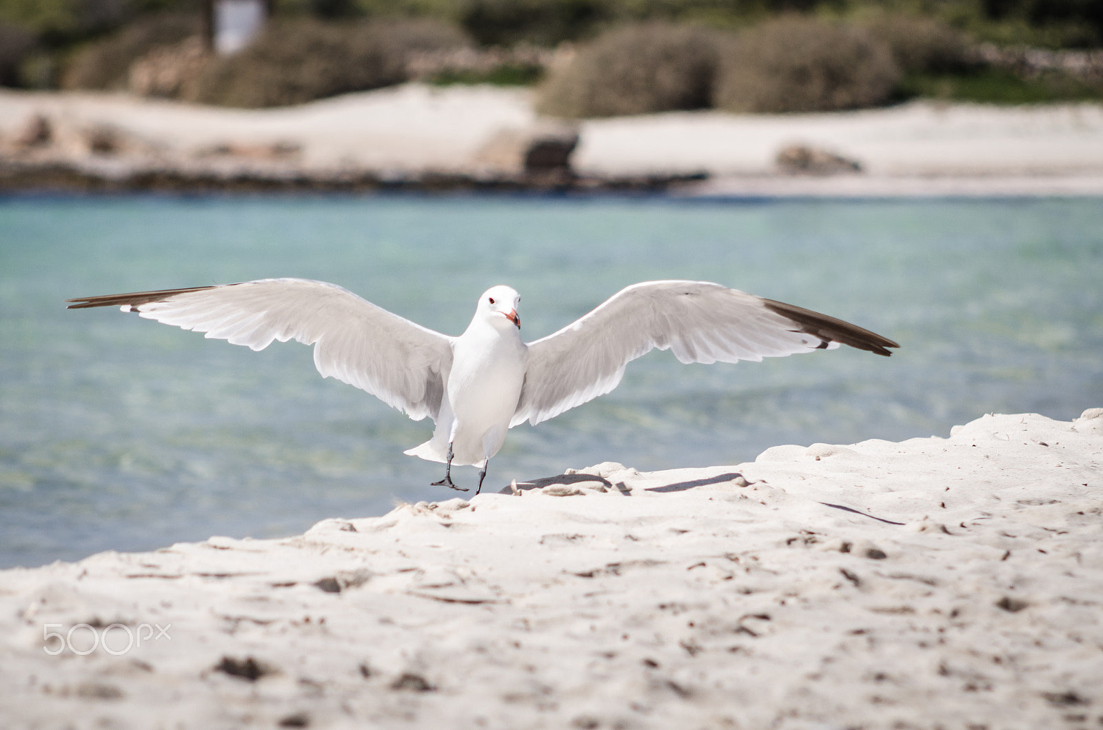 Nikon D7000 + AF Nikkor 70-210mm f/4-5.6 sample photo. Landing photography