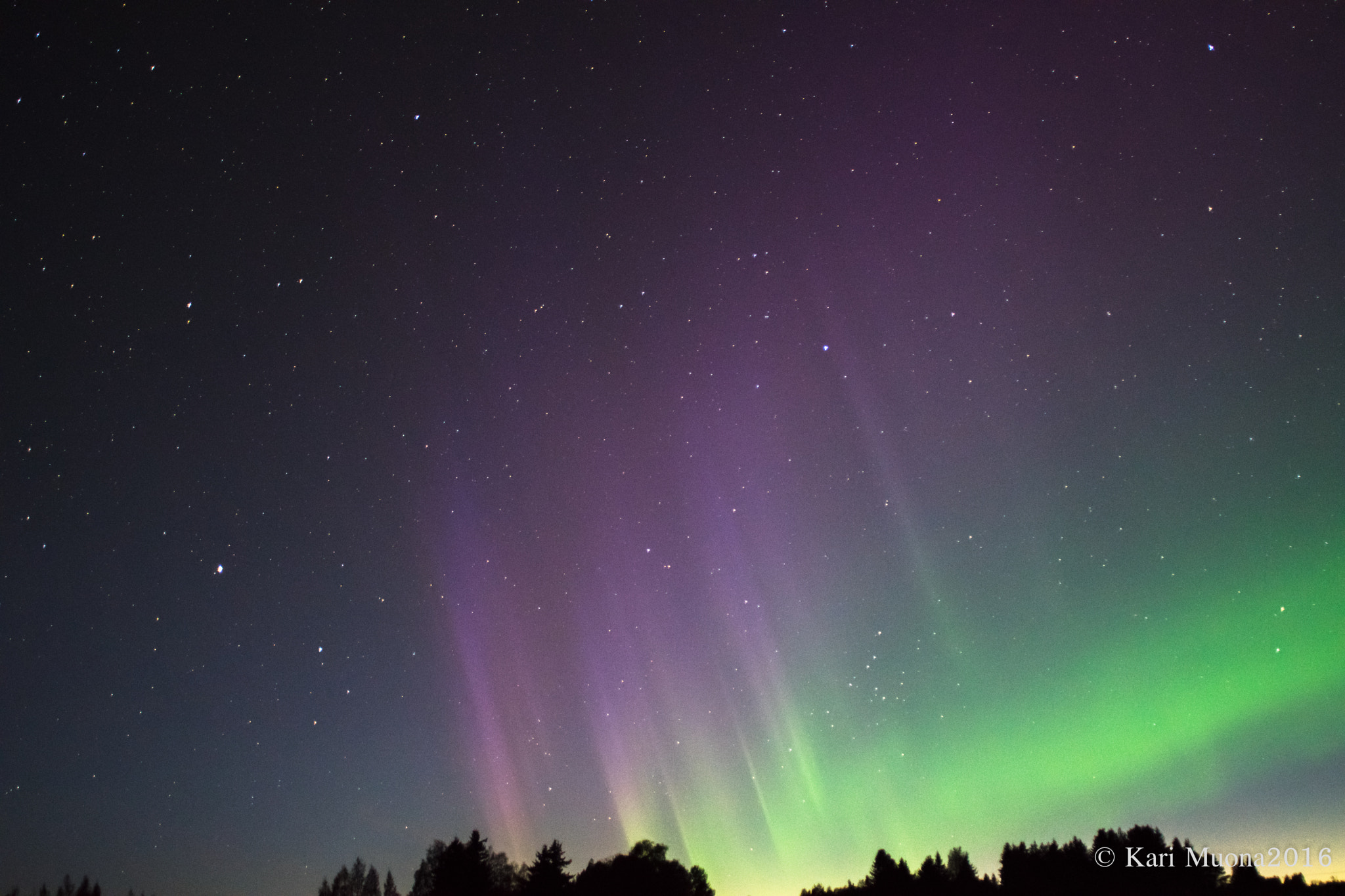 Nikon D5300 + Sigma 24mm F2.8 Super Wide II Macro sample photo. Dsc photography