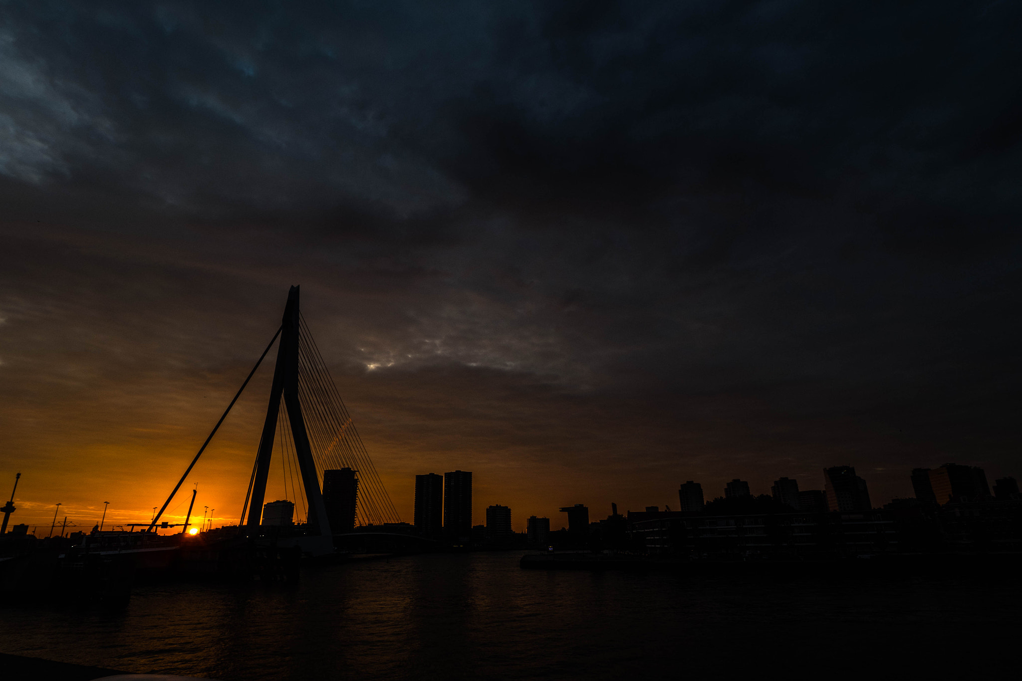 OLYMPUS M.9-18mm F4.0-5.6 sample photo. Erasmus bridge photography