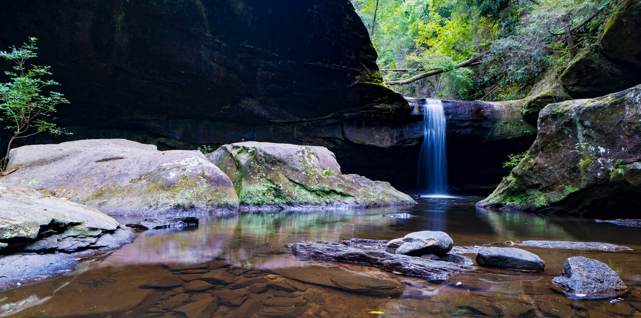 Nikon D810 + Nikon AF Nikkor 20mm F2.8D sample photo. Dog slaughter falls 2 photography