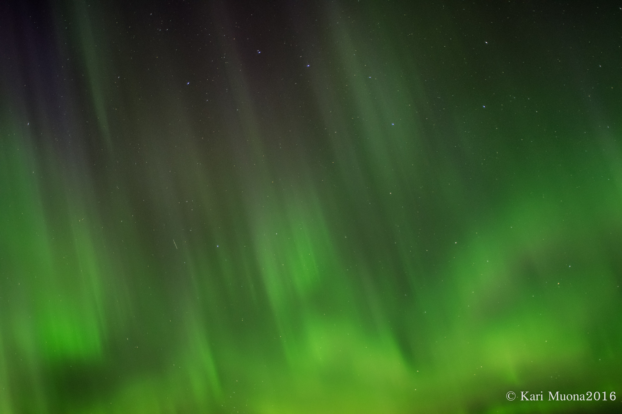 Nikon D5300 + Sigma 24mm F2.8 Super Wide II Macro sample photo. Dsc photography
