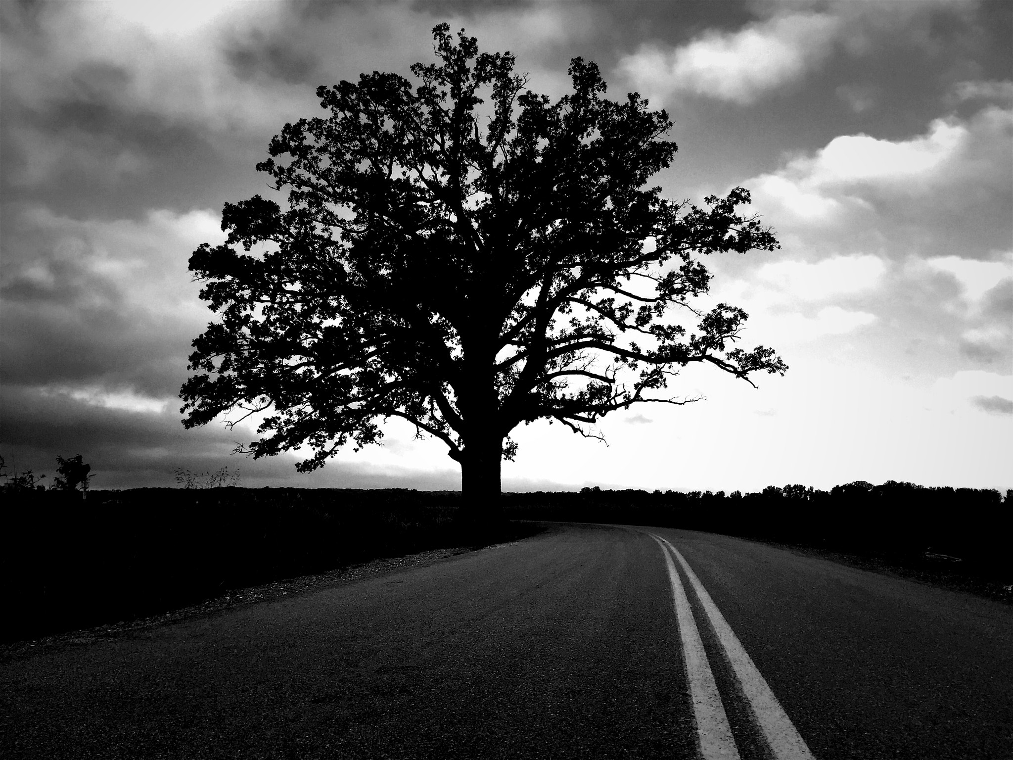 Blackie Camera sample photo. Road less traveled photography