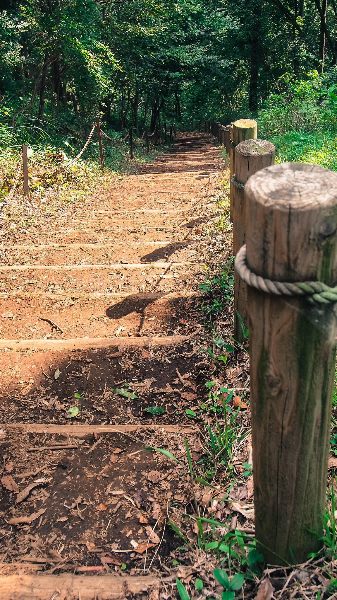 Olympus PEN E-PM2 sample photo. Cleared path down photography