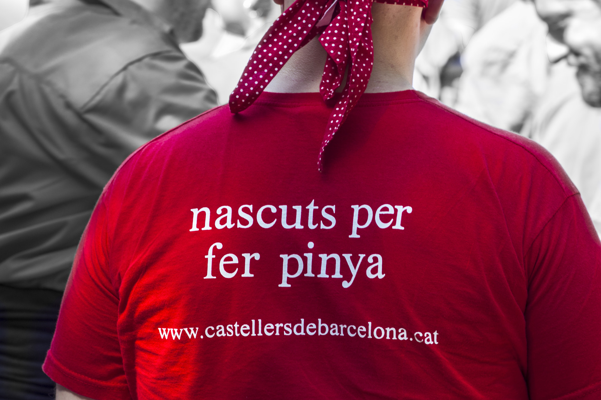 Canon EOS 60D + Canon EF 100mm F2.8 Macro USM sample photo. Nascuts per ser casteller photography