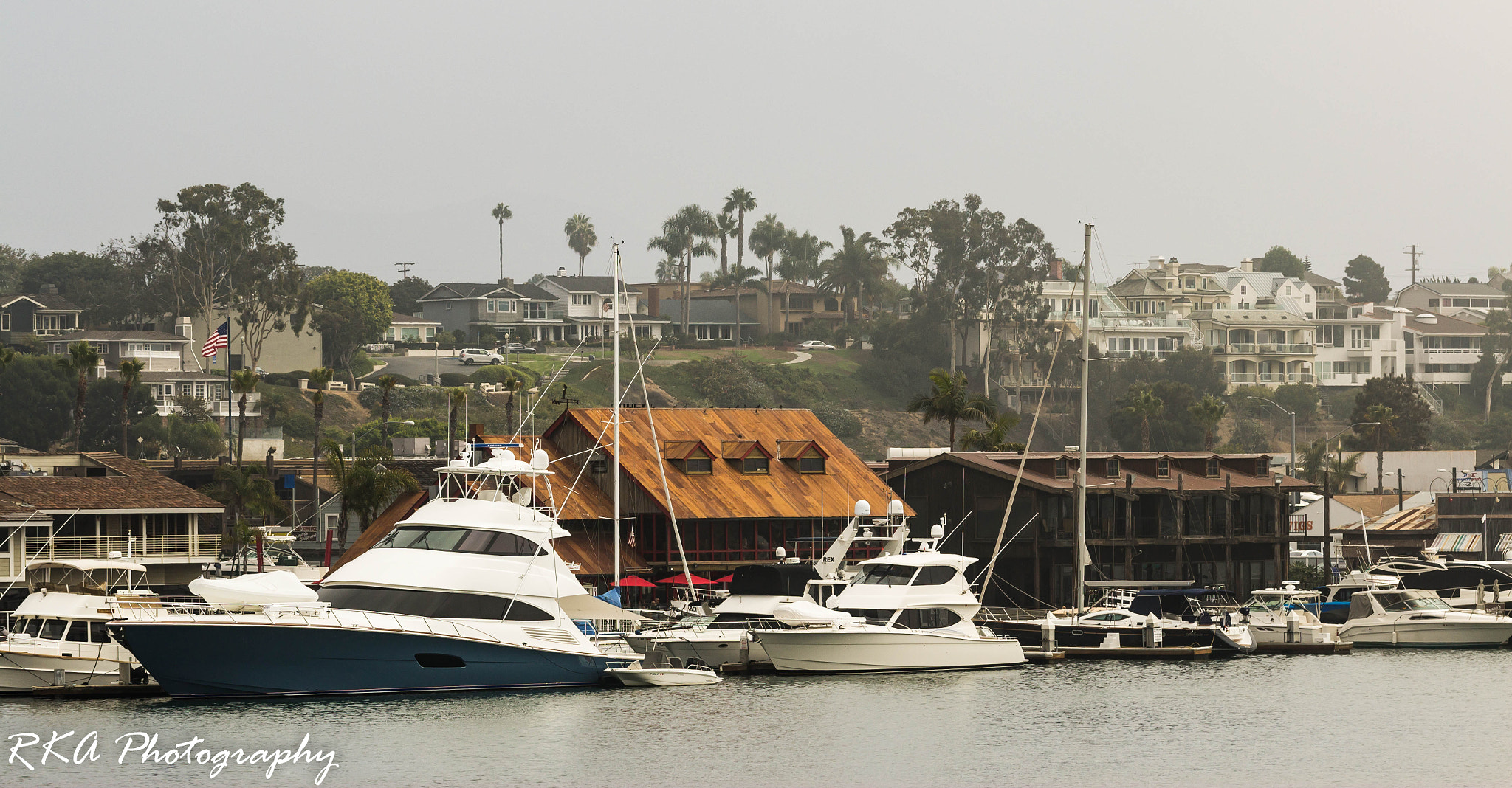 Canon EF 100mm F2.8L Macro IS USM sample photo. Newport in the fog photography