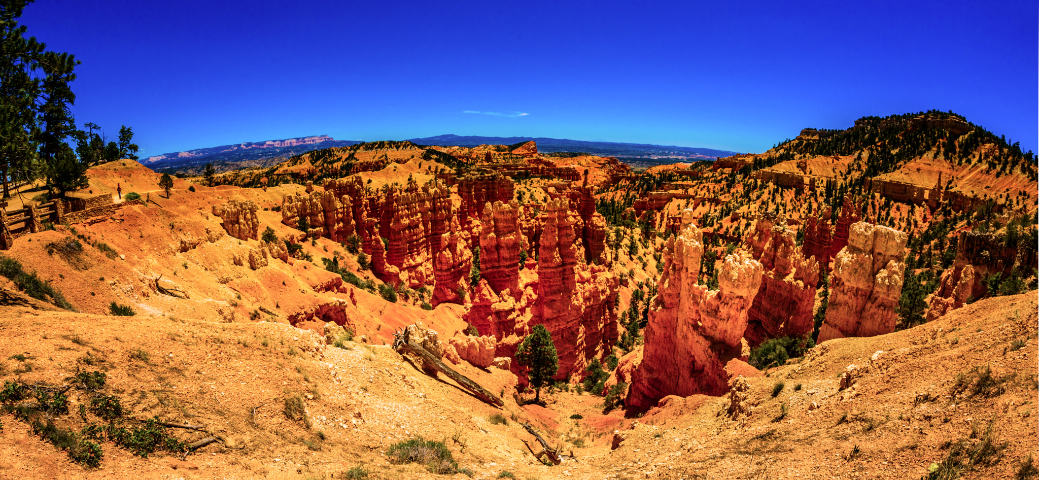 Samyang 12mm F2.8 ED AS NCS Fisheye sample photo. Bryce fisheye photography