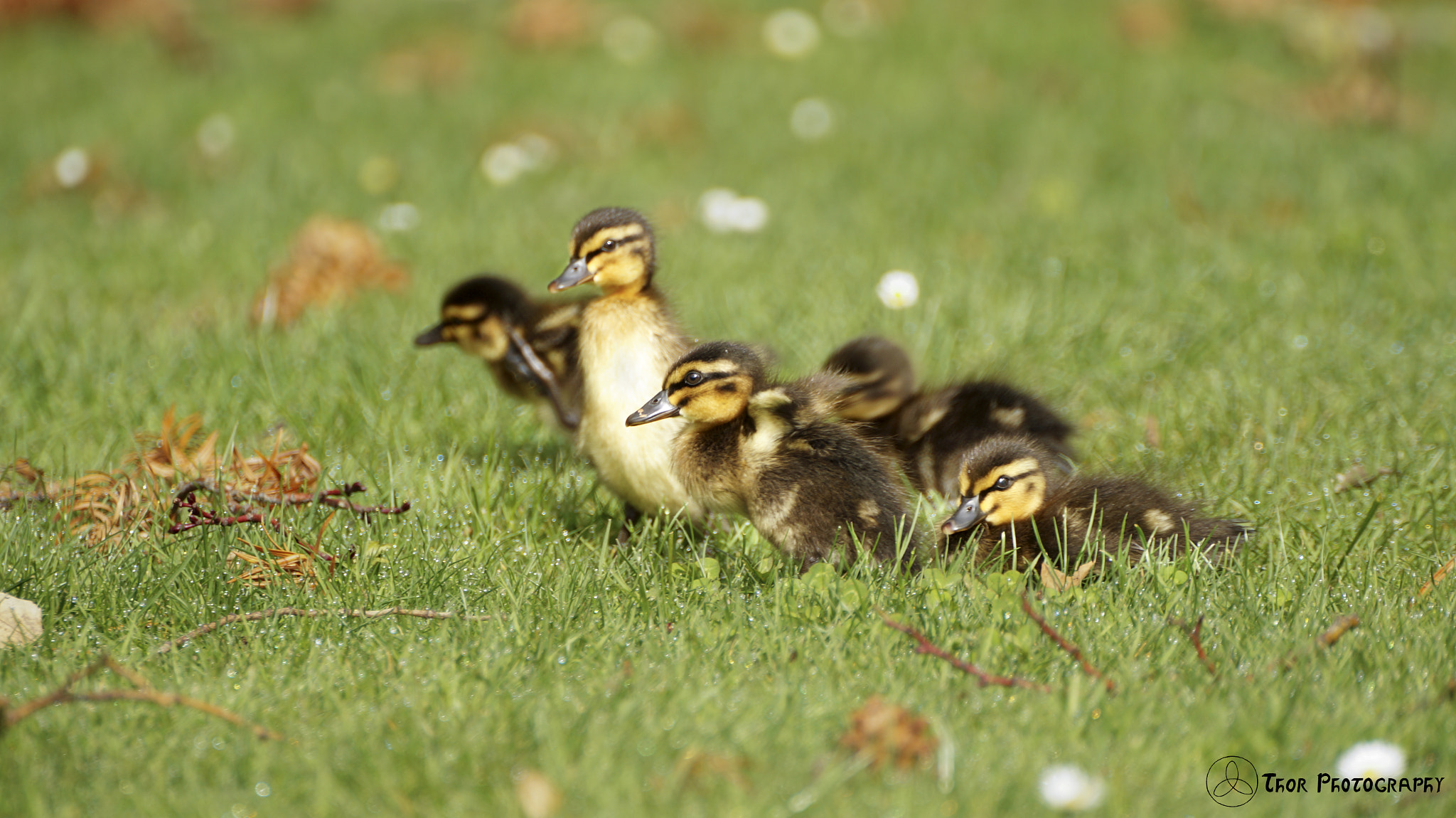 Tamron SP 70-300mm F4-5.6 Di USD sample photo. Streeetch! photography