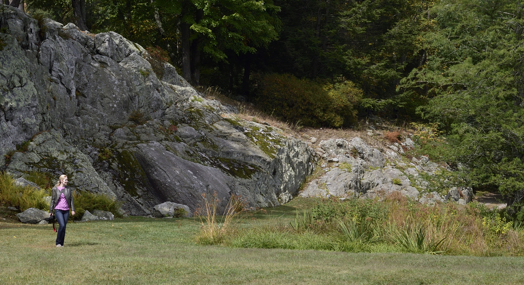 Nikon D4 sample photo. In the field 2 photography