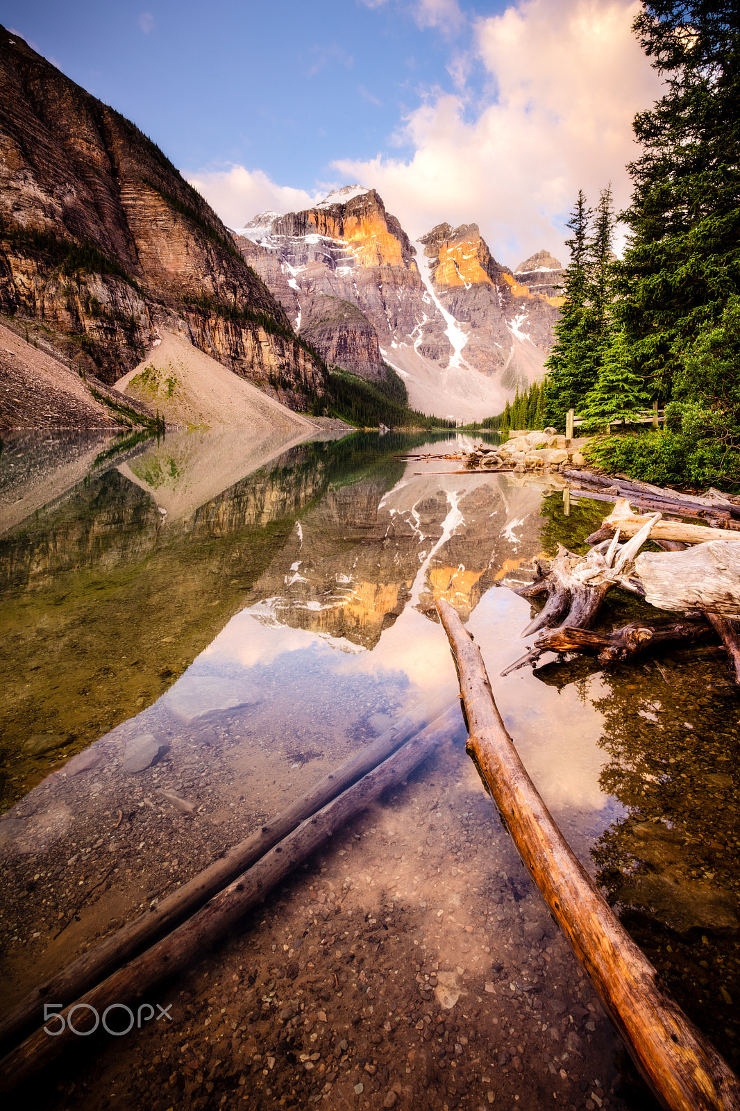 Canon EOS 5DS R + Canon EF 16-35mm F4L IS USM sample photo. Pointing logs photography