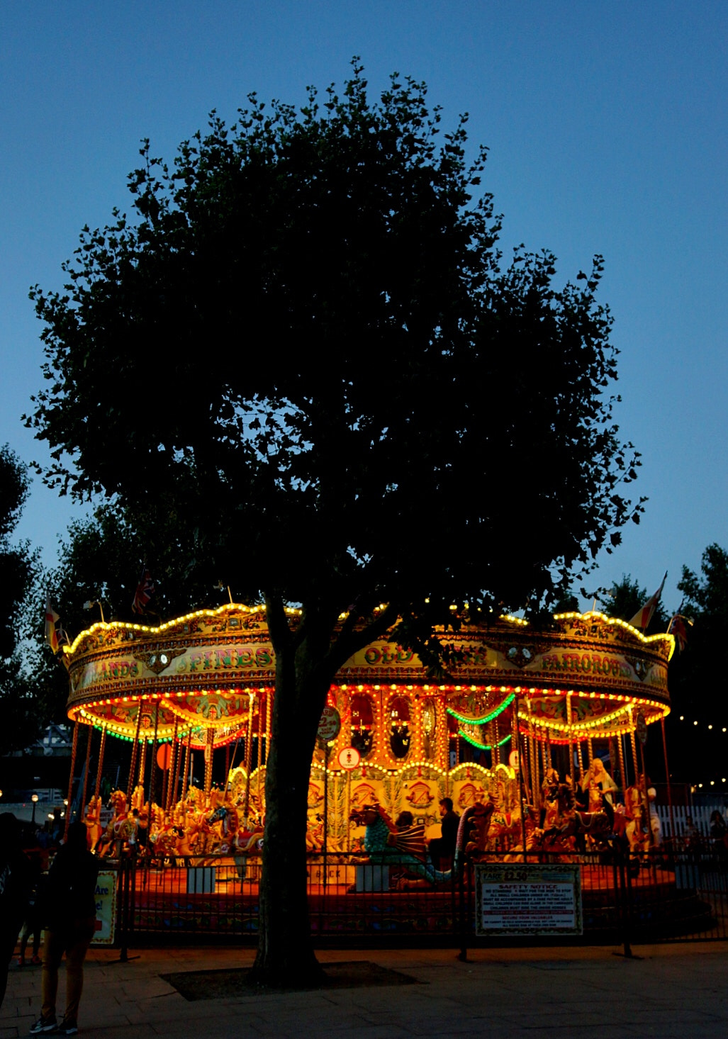 Sony Alpha NEX-7 sample photo. Carousel photography