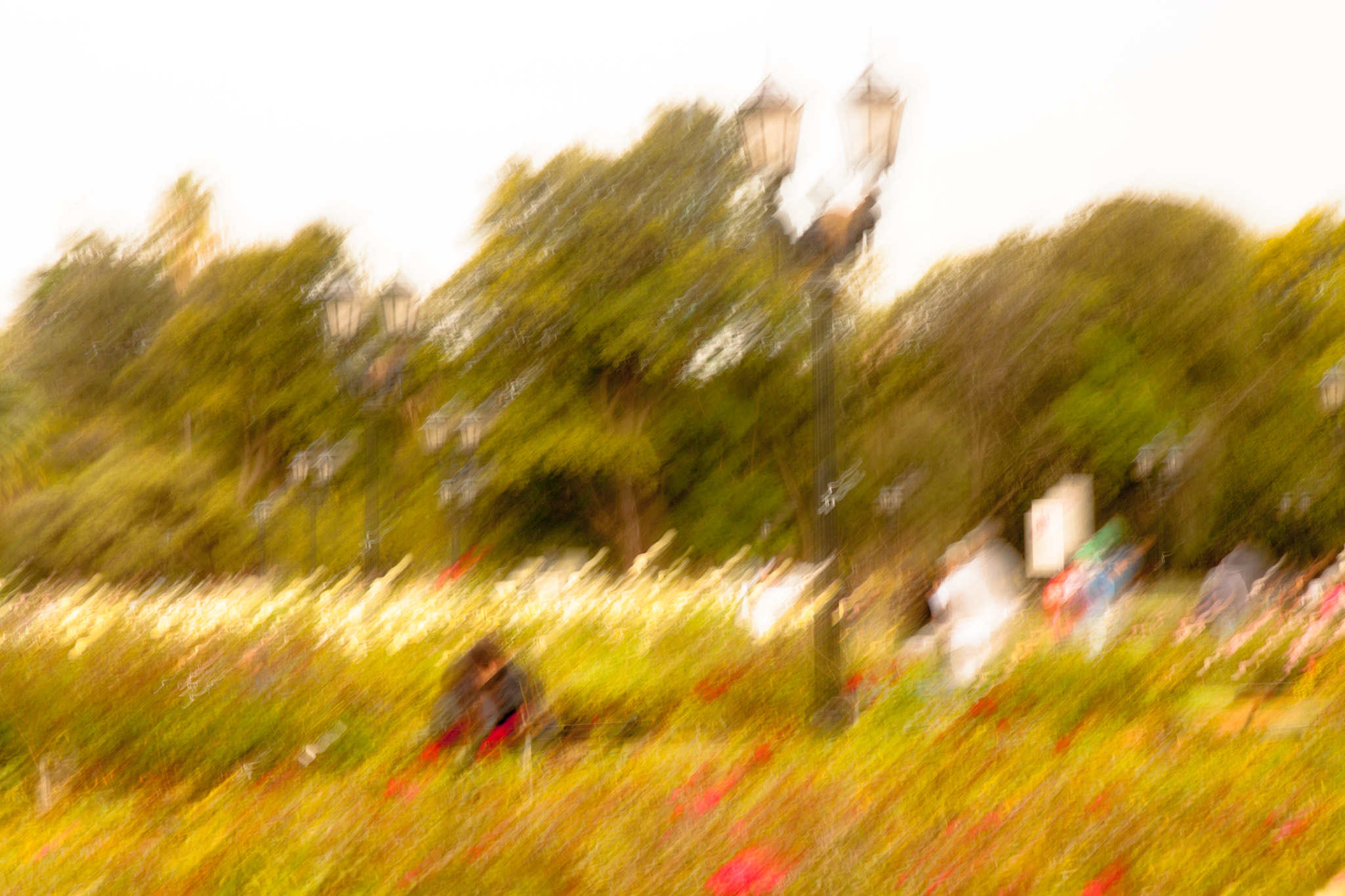Sigma 17-70mm F2.8-4 DC Macro OS HSM sample photo. Monet of paseo el rosedal photography