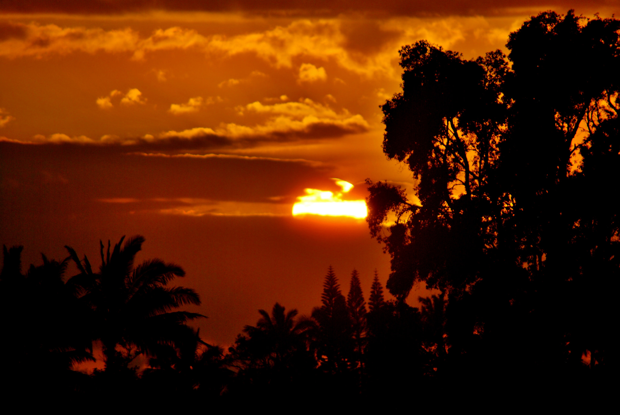 Nikon D60 sample photo. Covering hephaestus! photography