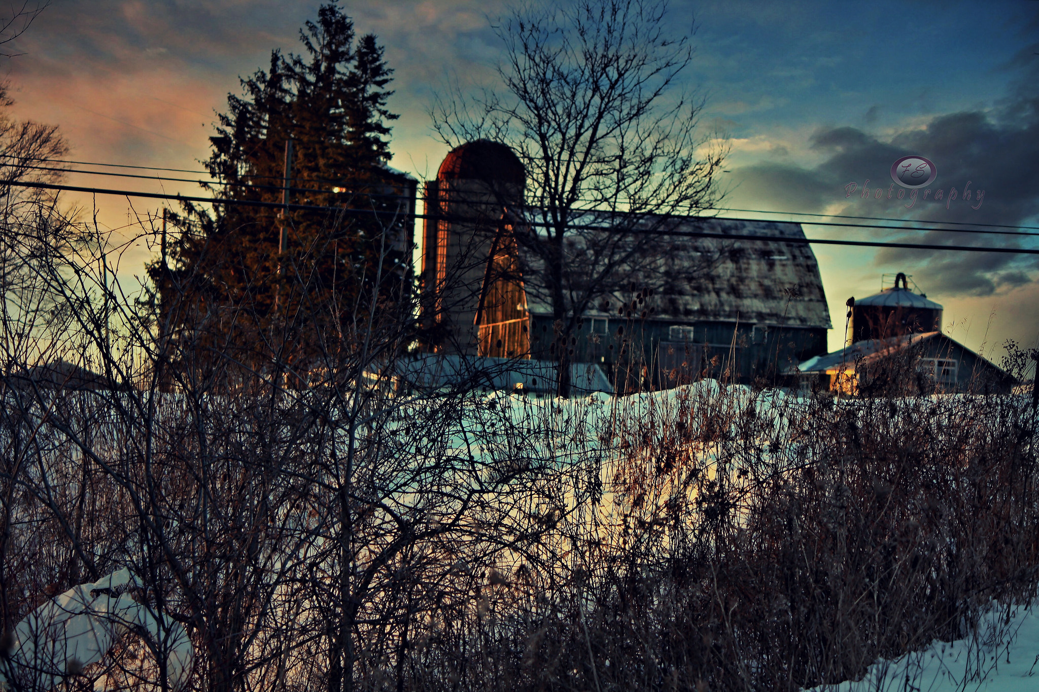 Canon EOS 450D (EOS Rebel XSi / EOS Kiss X2) sample photo. "in the winter she curls up around a good book and dreams away the cold." photography