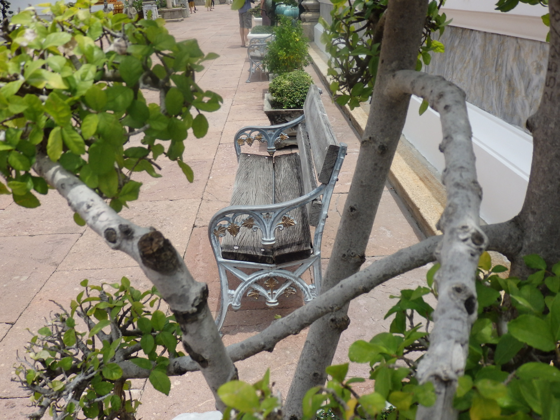 Olympus SZ-16,DZ-105 sample photo. Chair photography