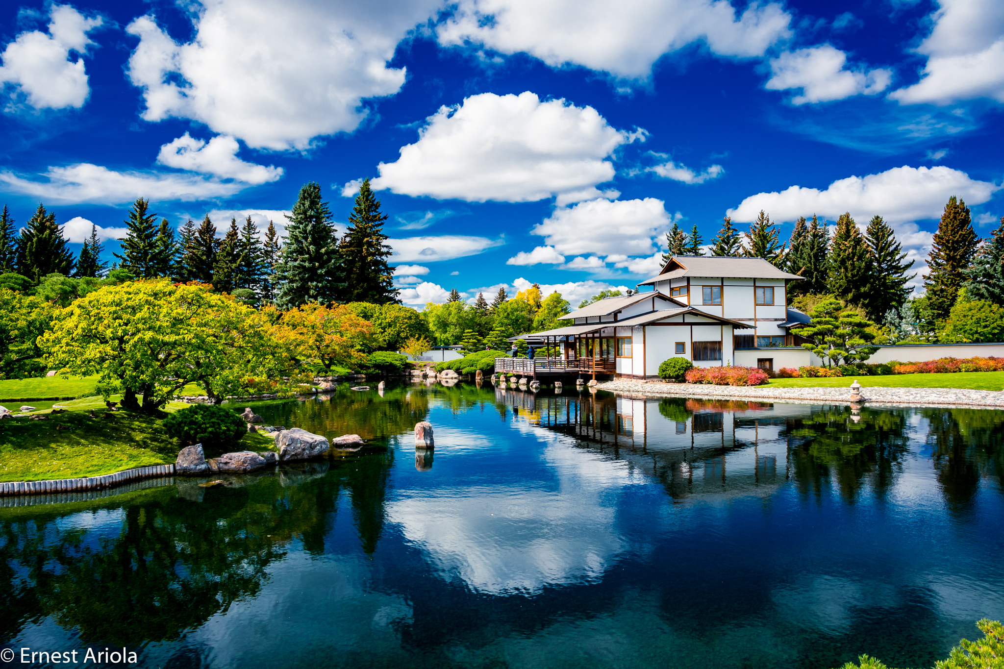 Nikon D500 sample photo. Nikka yuko japanese garden photography