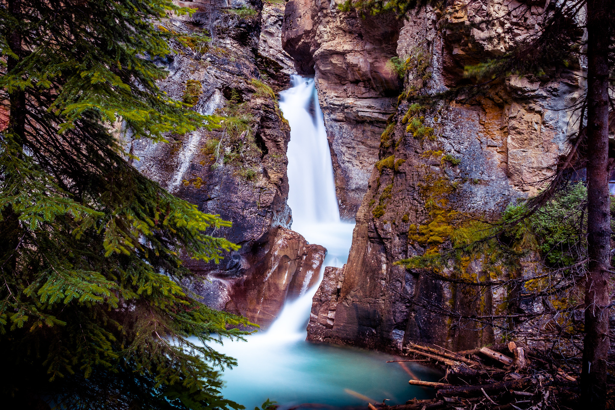 Nikon D500 sample photo. Johnston canyon upper falls photography