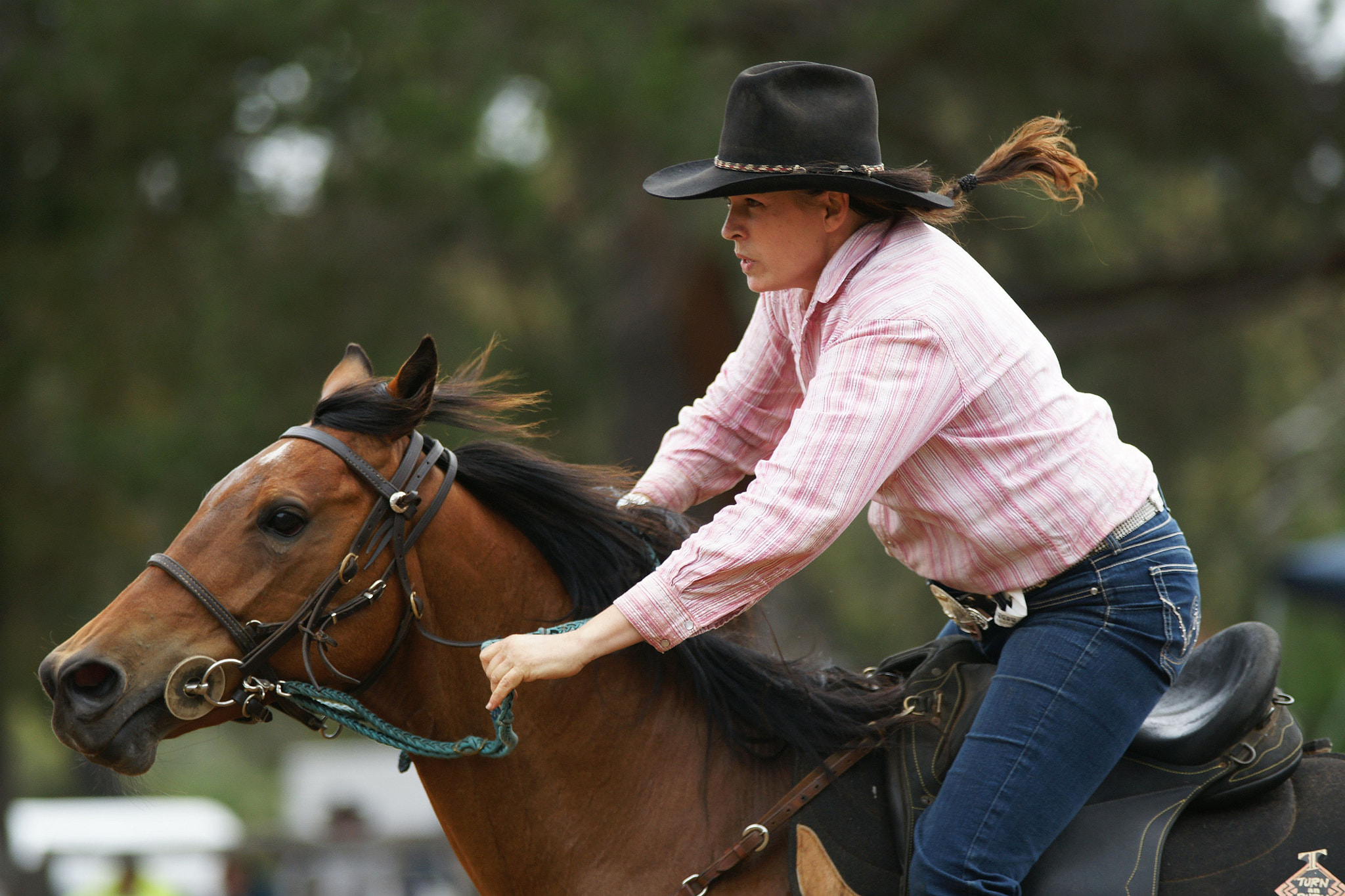 Sony Alpha DSLR-A700 + Sigma M-AF 70-200mm F2.8 EX APO sample photo. Flying manes photography