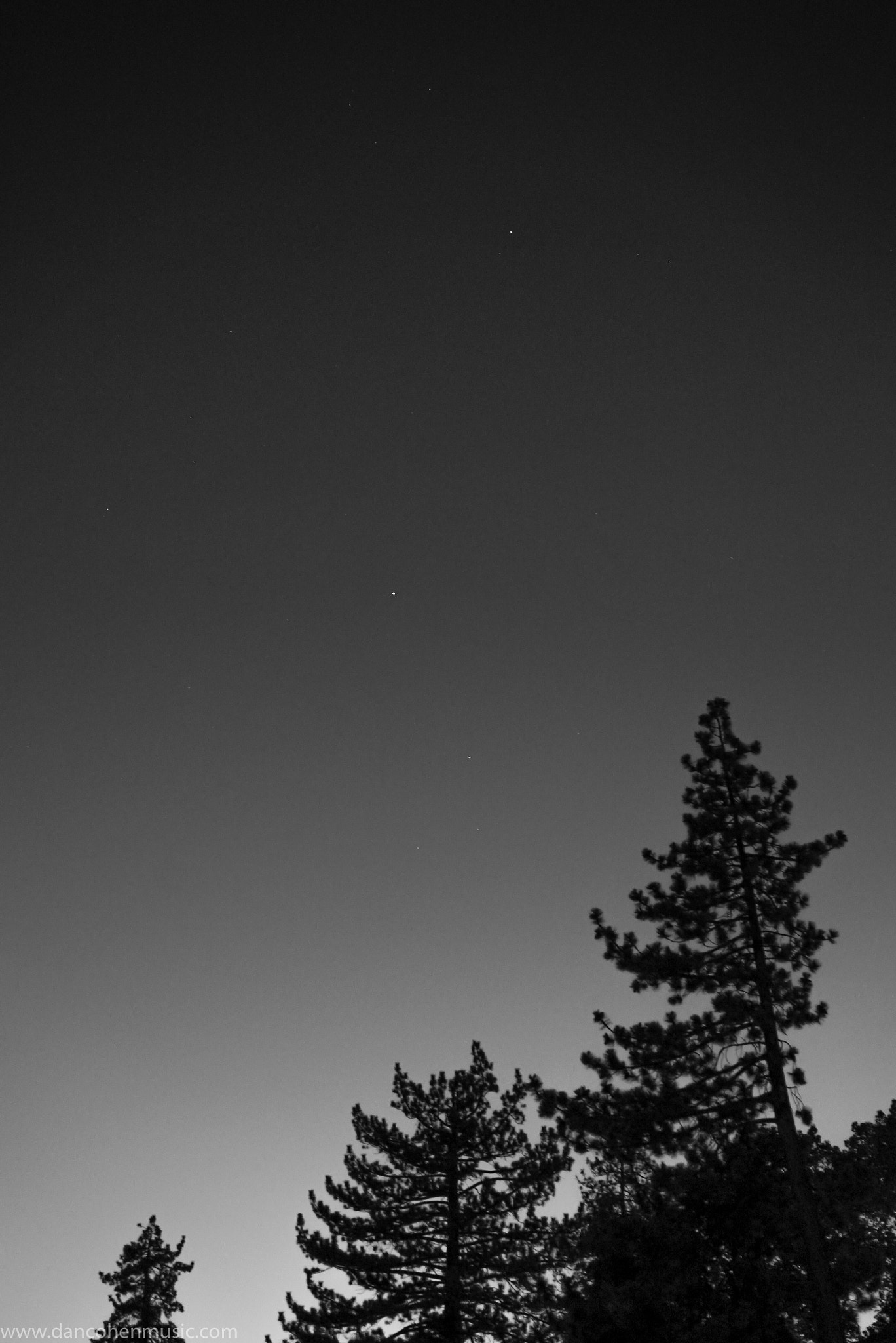 Sony a7S II + Sony Sonnar T* FE 55mm F1.8 ZA sample photo. Tahoe city photography