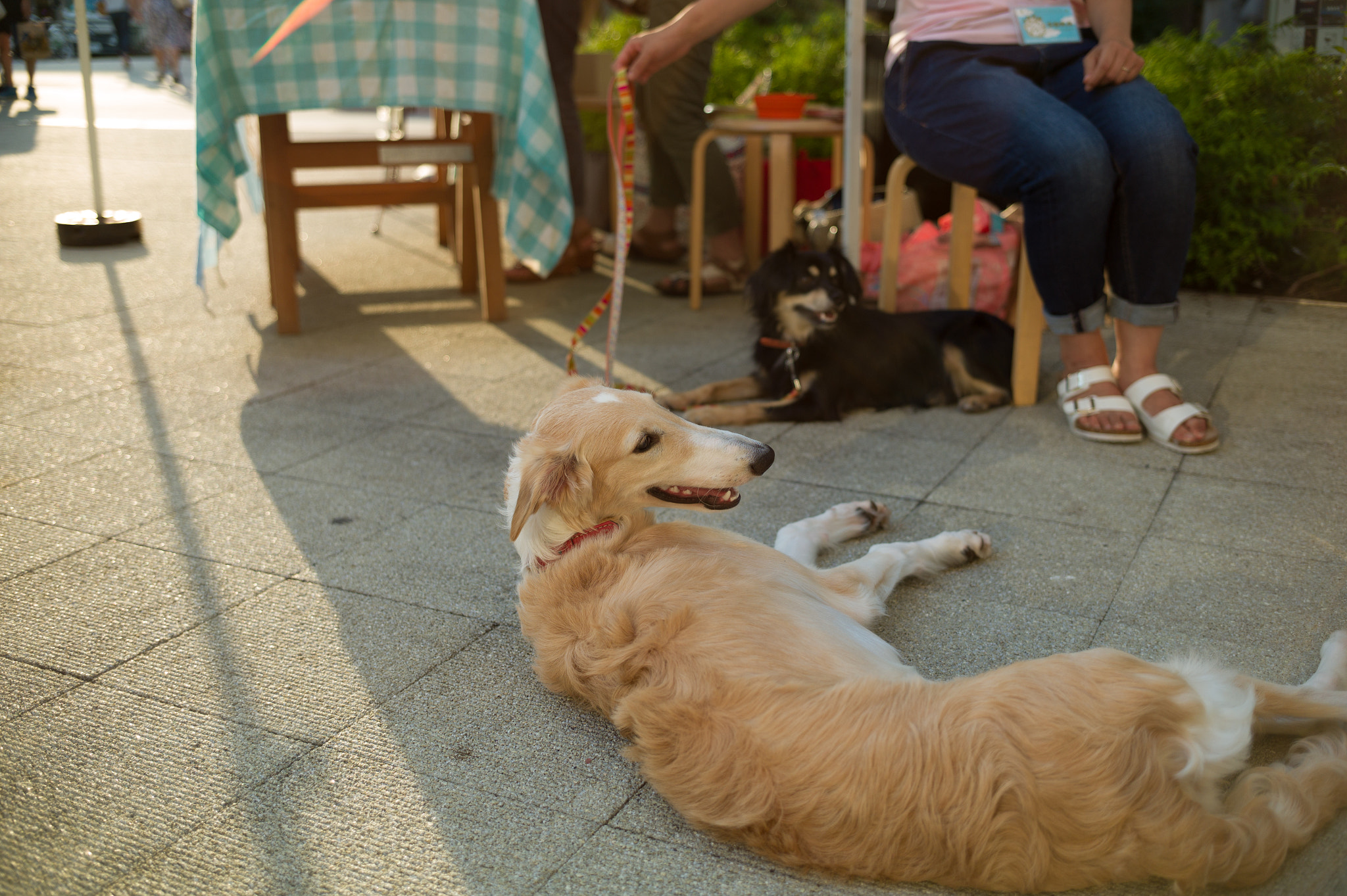 Leica M9 + Leica Tri-Elmar-M 16-18-21mm F4 ASPH sample photo. 29626601411.jpg photography