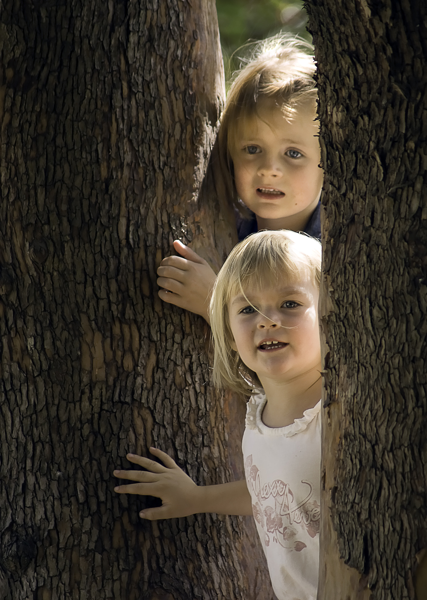 Sony 75-300mm F4.5-5.6 sample photo. Cousins photography