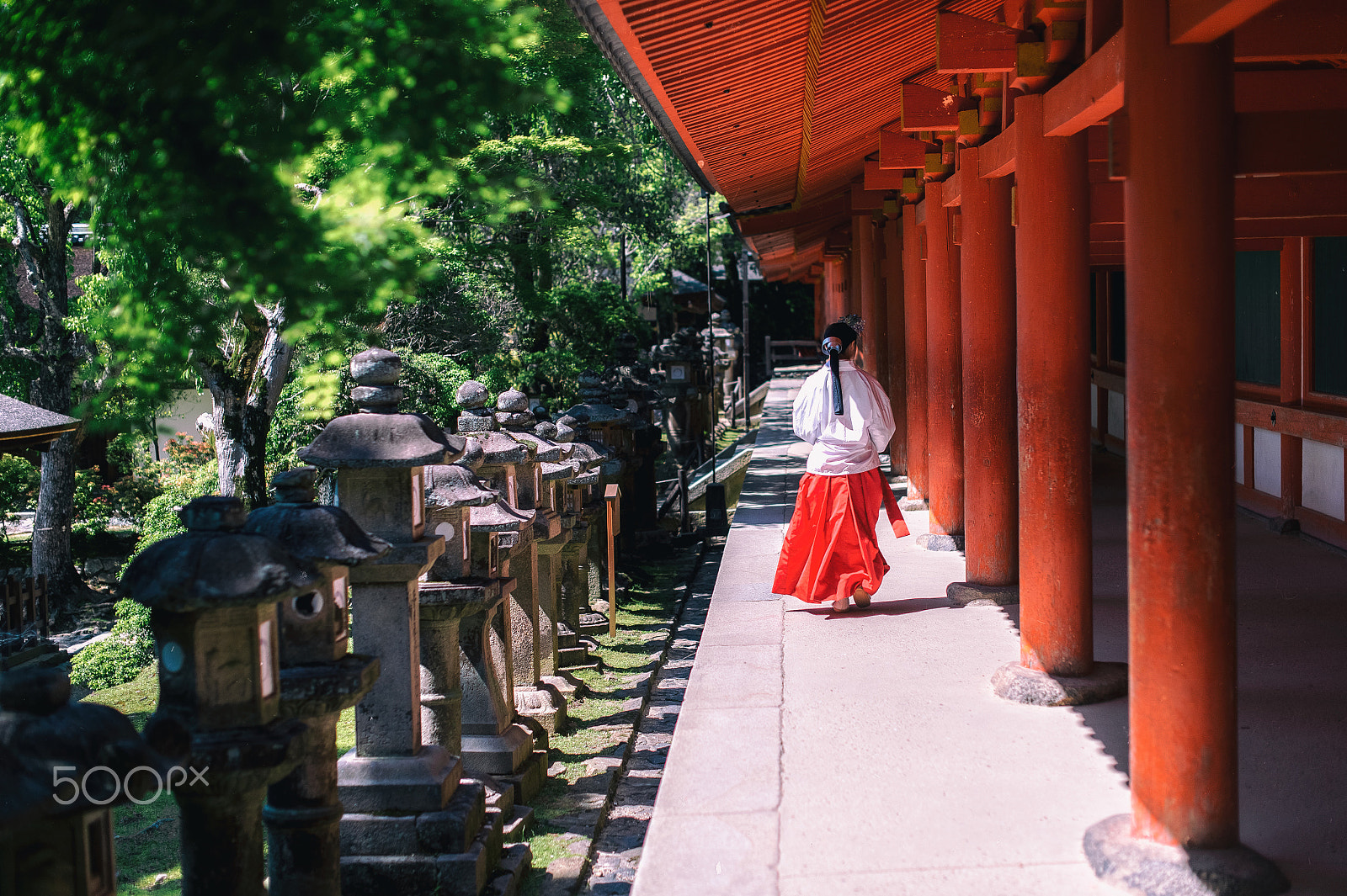 Nikon D4 + Nikon AF-S Nikkor 50mm F1.4G sample photo. Photo in japan photography