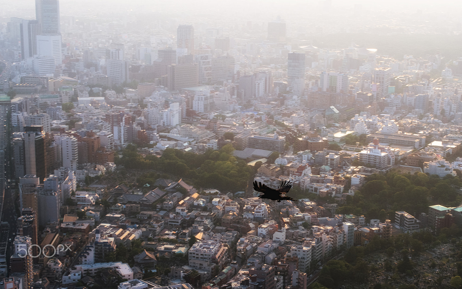 Nikon D4 + Nikon AF-S Nikkor 50mm F1.4G sample photo. Photo in japan photography