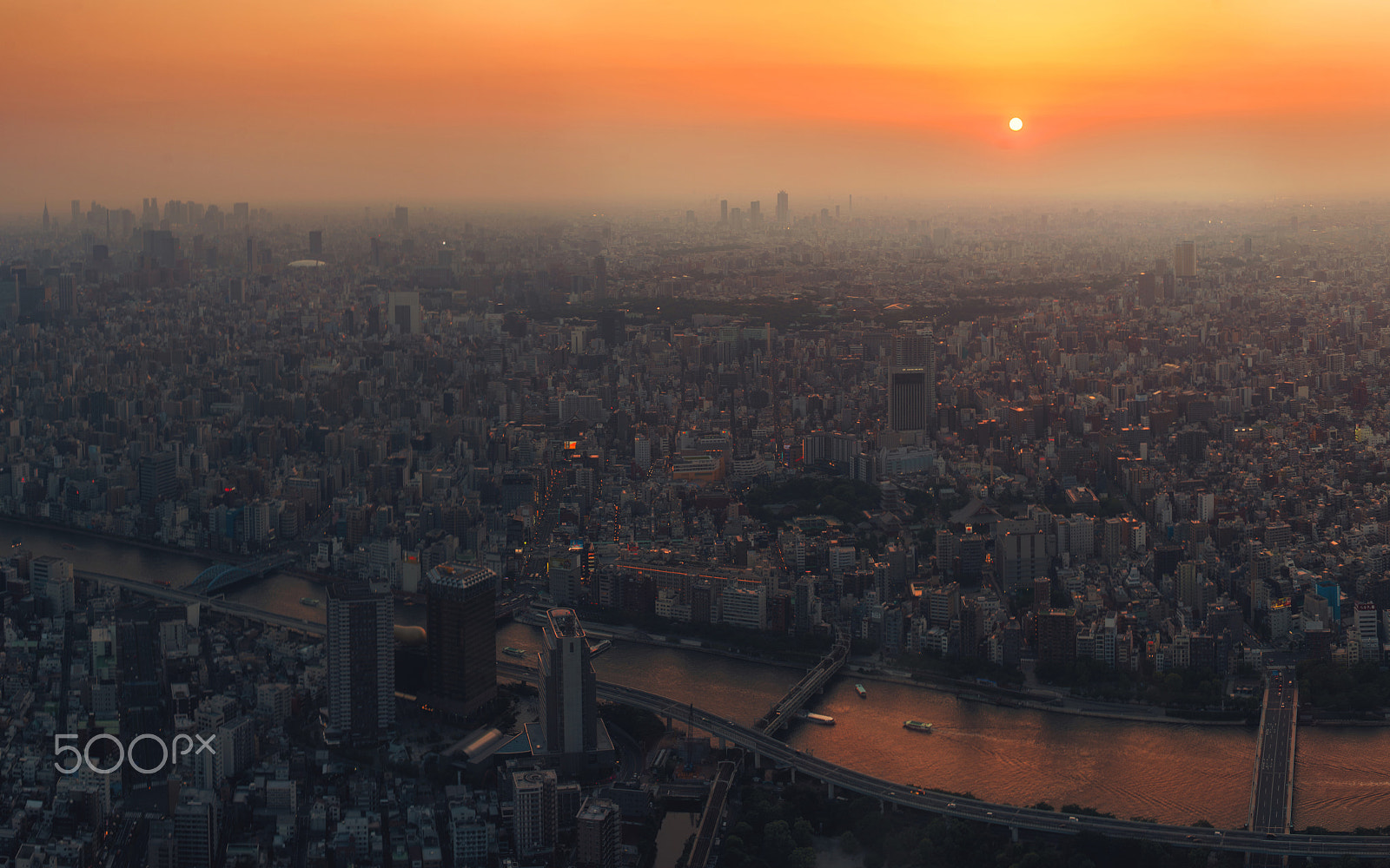Nikon D4 + Nikon AF-S Nikkor 50mm F1.4G sample photo. Photo in japan photography