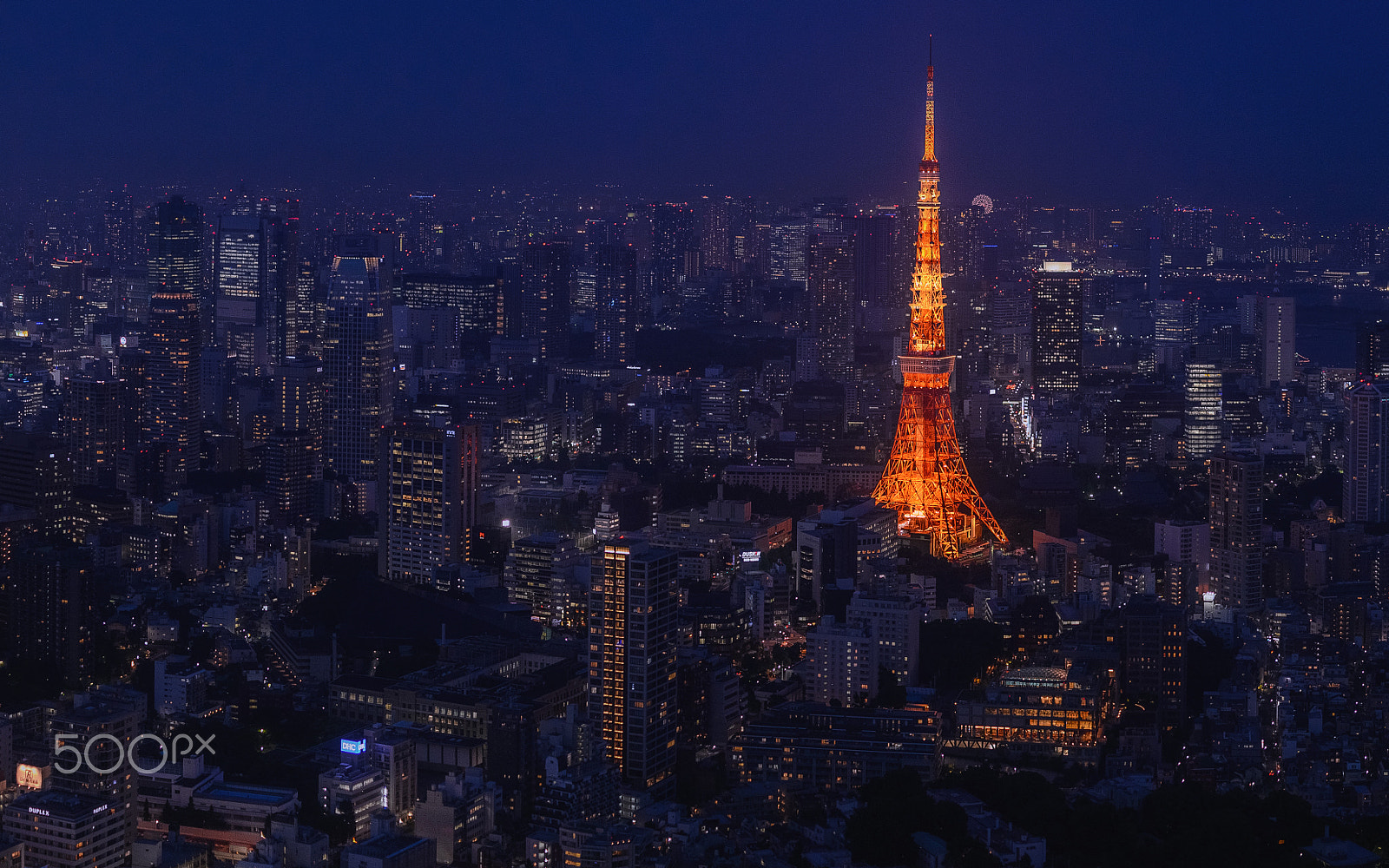 Nikon D4 + Nikon AF-S Nikkor 50mm F1.4G sample photo. Photo in japan photography