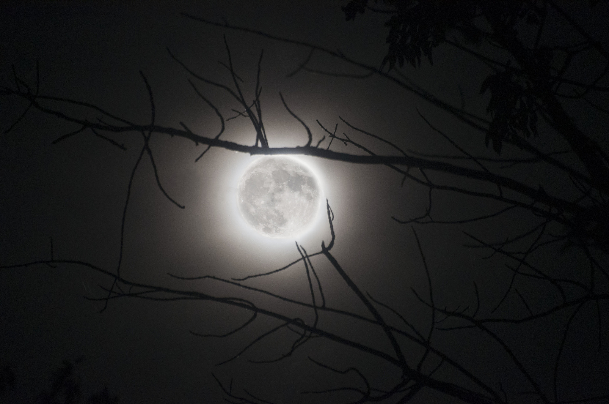 Nikon D5000 sample photo. Spectre photography