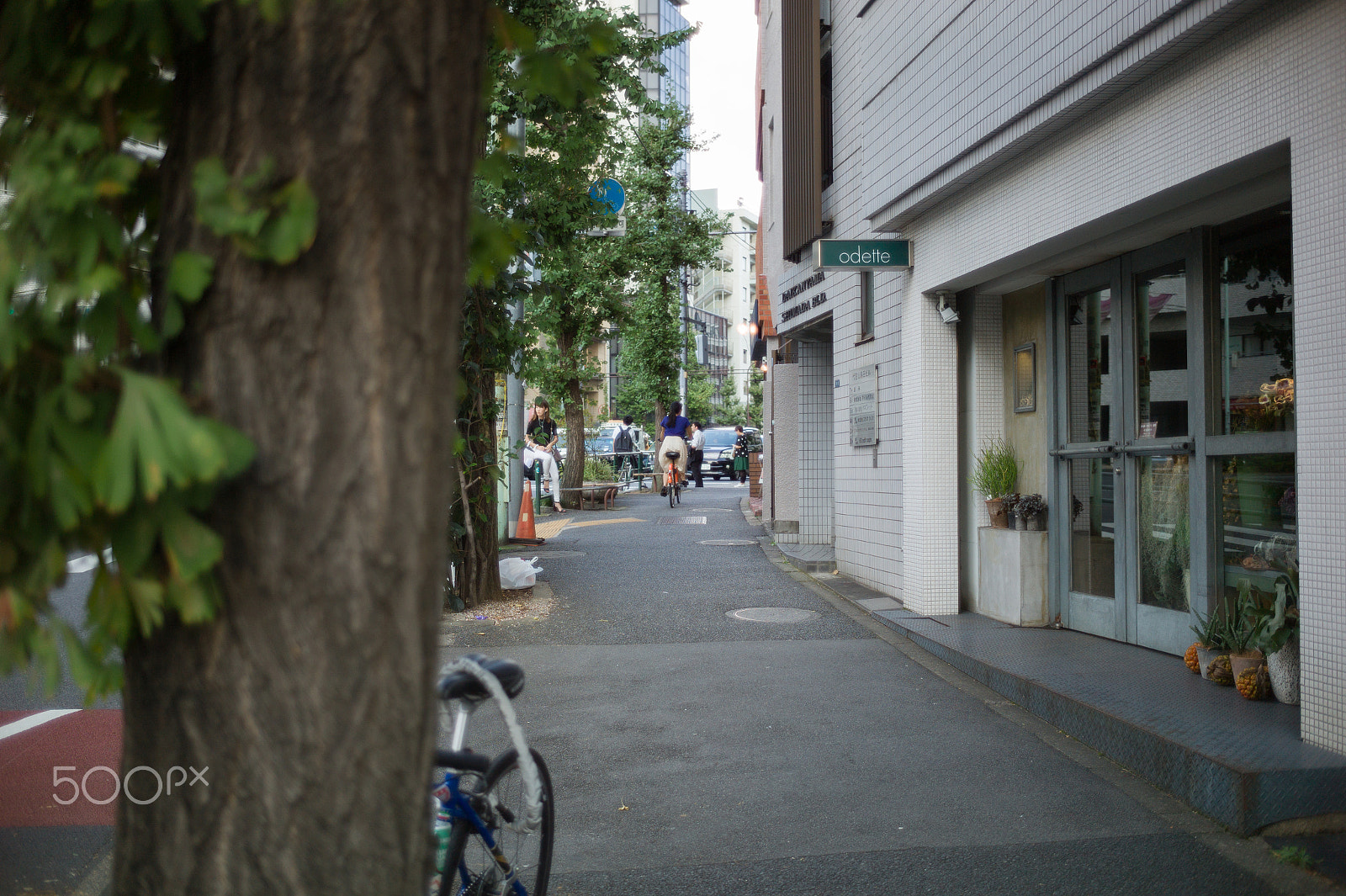 Leica M9 + Leica Tri-Elmar-M 16-18-21mm F4 ASPH sample photo. 29083103793.jpg photography