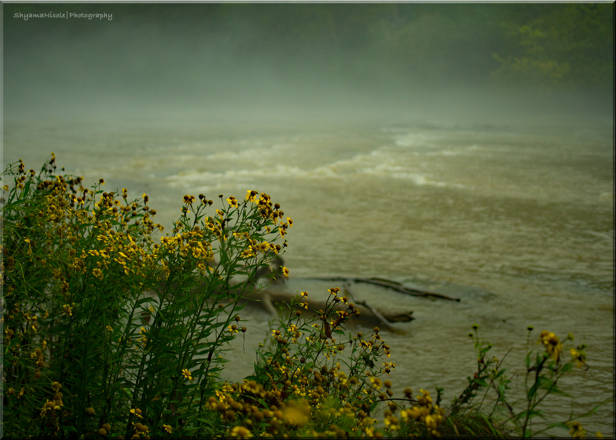 Panasonic Lumix DMC-GH3 sample photo. Walking in the rain along the chattahoochee river photography