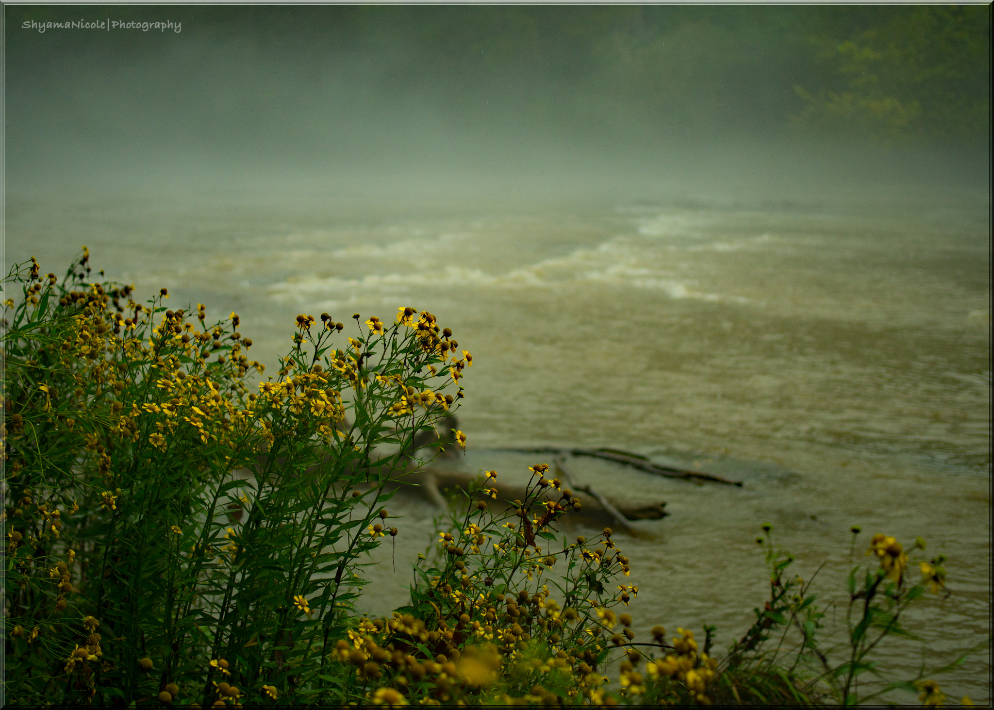 Panasonic Lumix DMC-GH3 + Olympus M.Zuiko Digital 25mm F1.8 sample photo. Walking in the rain along the chattahoochee river photography