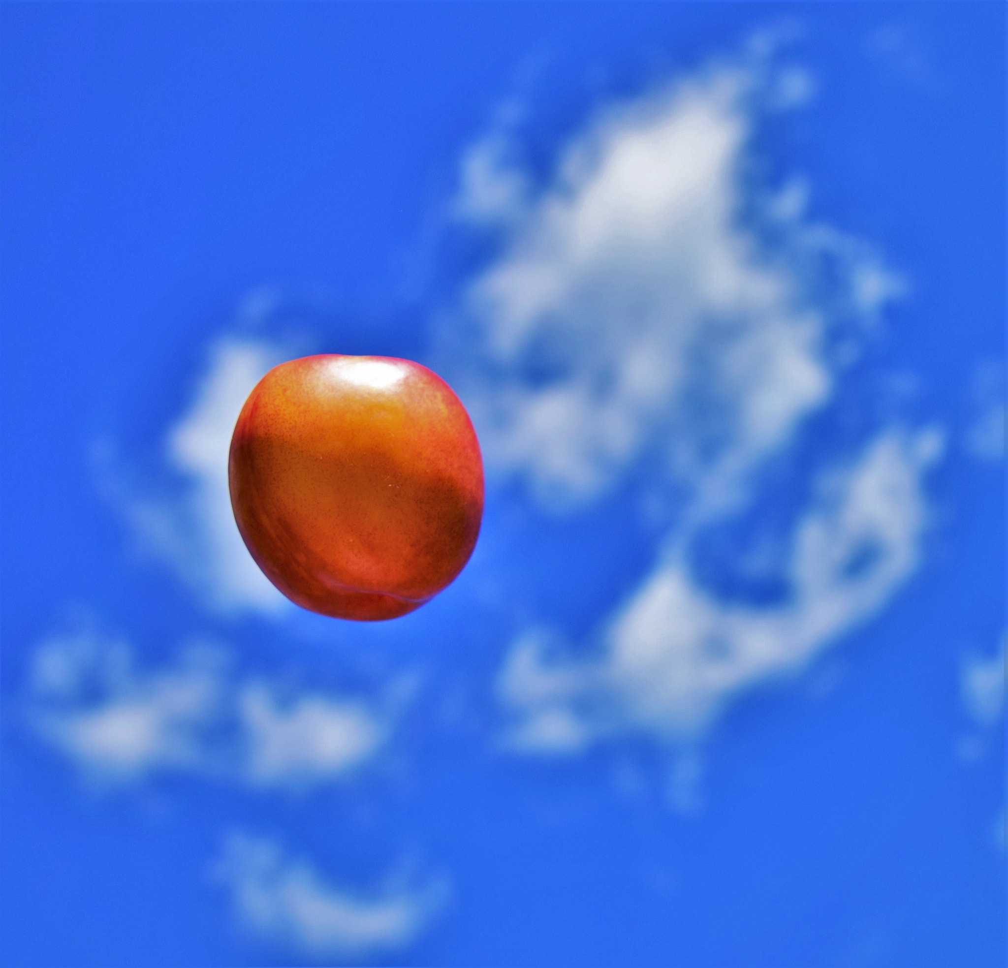 Nikon AF-S Nikkor 24-120mm F4G ED VR sample photo. Flying fruit photography