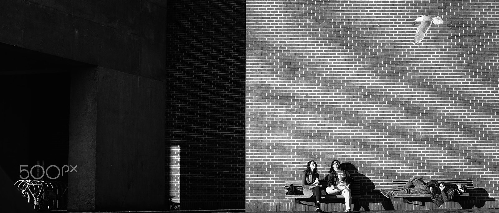Nikon D4 + Nikon AF-S Nikkor 50mm F1.4G sample photo. Photo in seattle photography