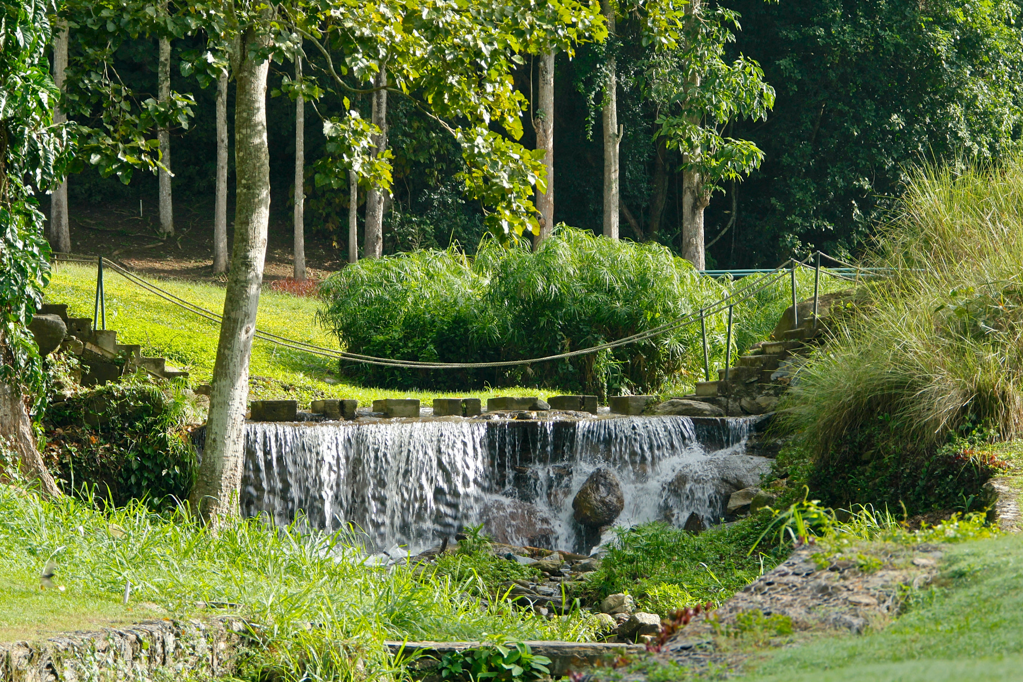 Canon EF 28-300mm F3.5-5.6L IS USM sample photo. Izcaragua country club photography