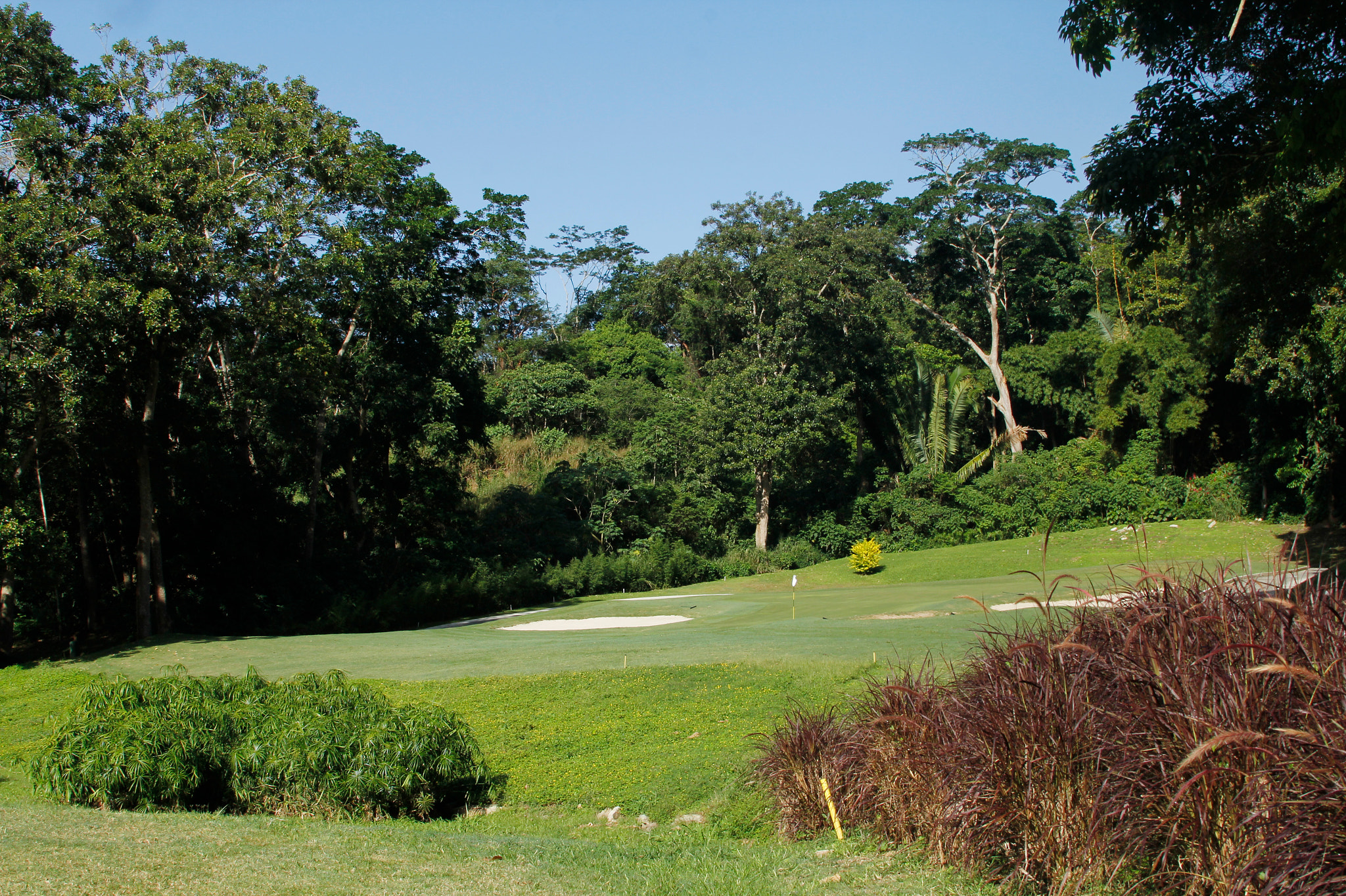 Canon EF 28-300mm F3.5-5.6L IS USM sample photo. Izcaragua country club photography