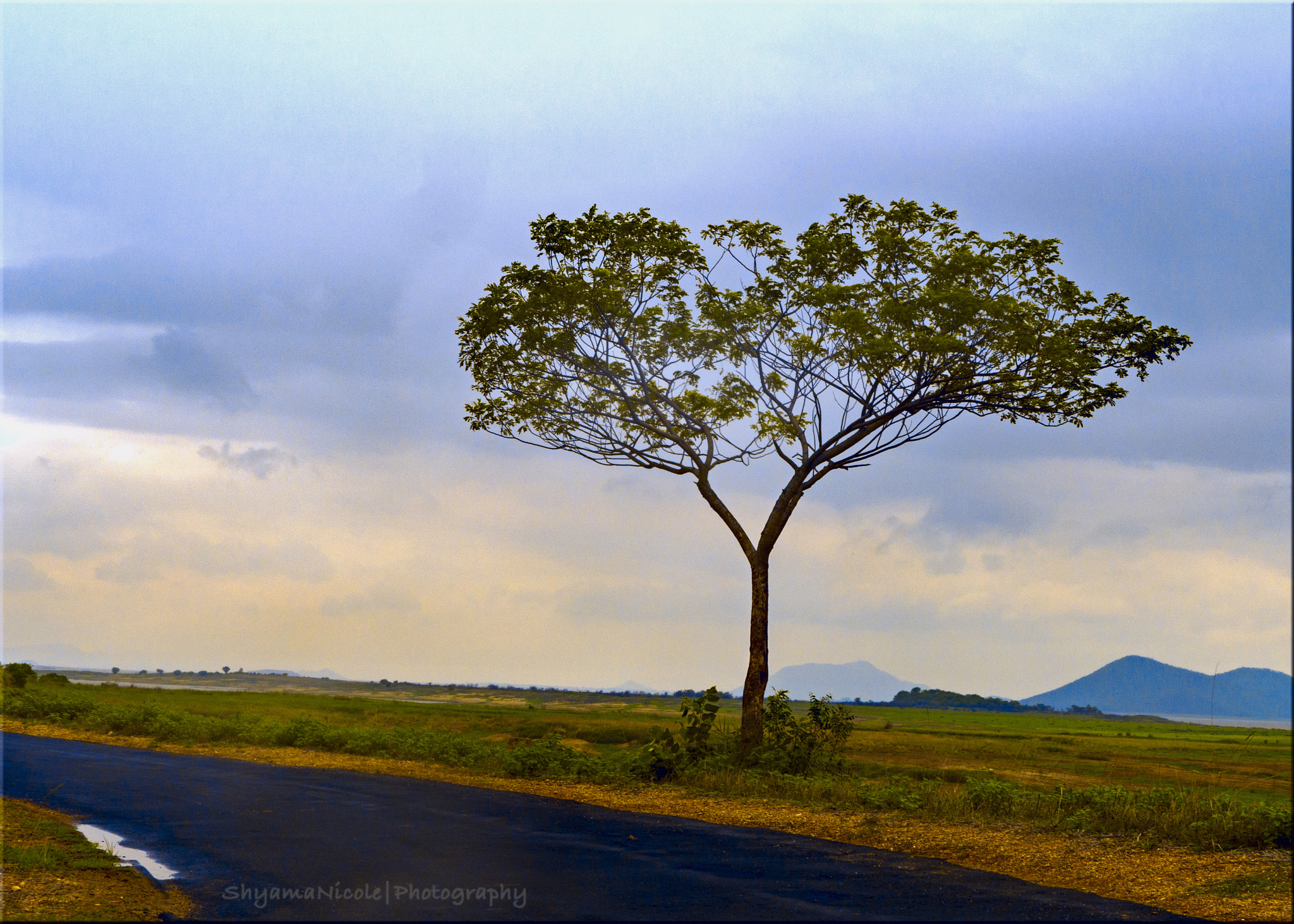 Panasonic Lumix DMC-GH3 sample photo. Exploring the backwaters of hirakud dam photography