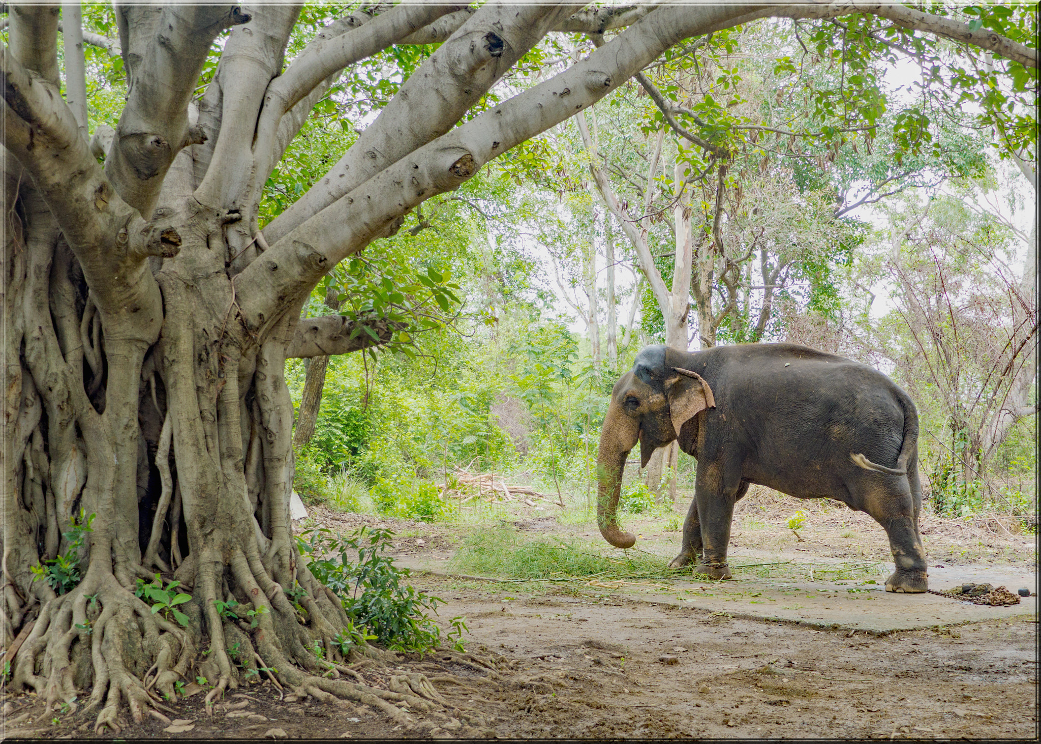 Panasonic Lumix DMC-GH3 sample photo. Exploring the backwaters of hirakud dam photography