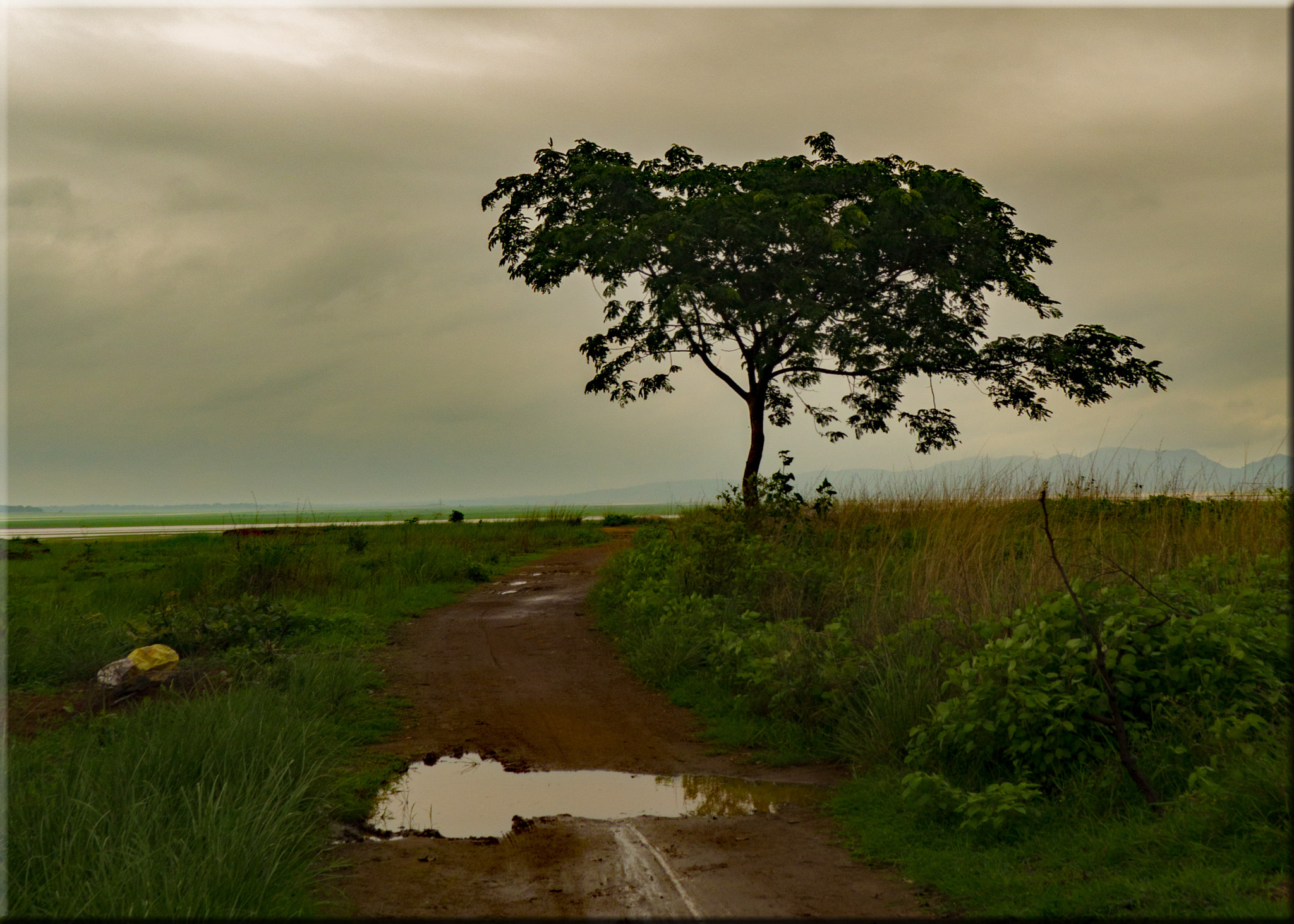 Panasonic Lumix DMC-GH3 sample photo. Exploring the backwaters of hirakud dam photography